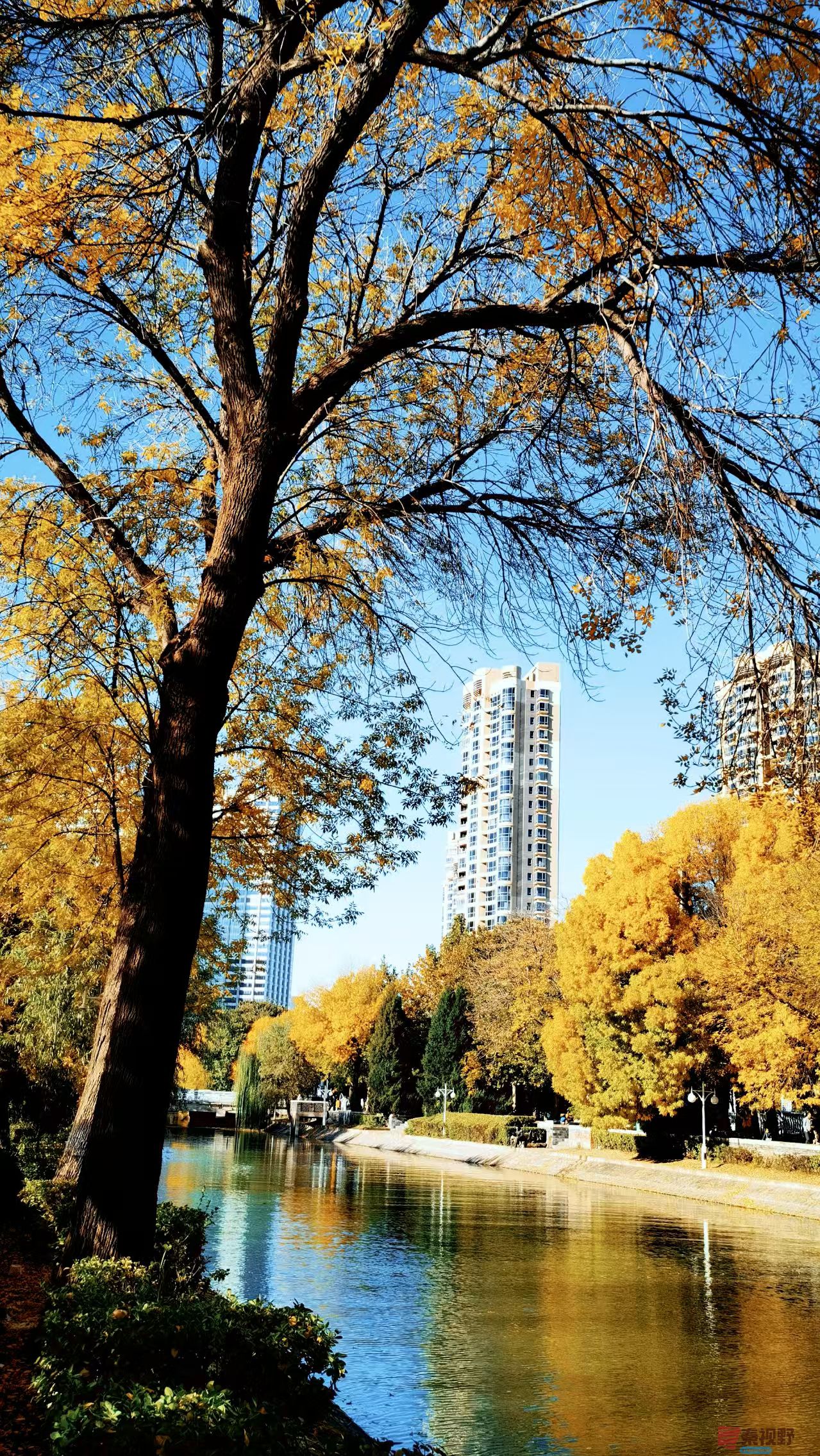 马世国_20251104122912_41_577 (3).jpg