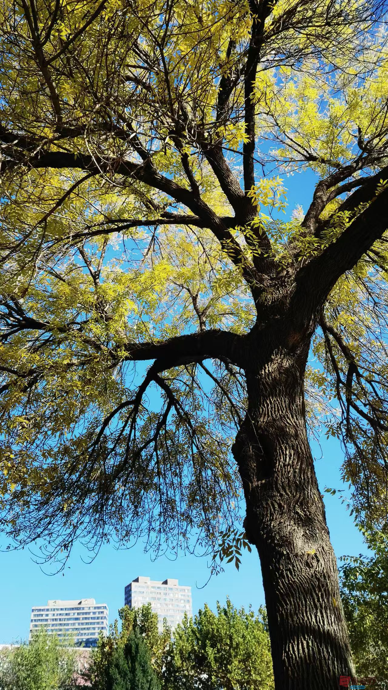 马世国_20251104122912_41_577 (4).jpg