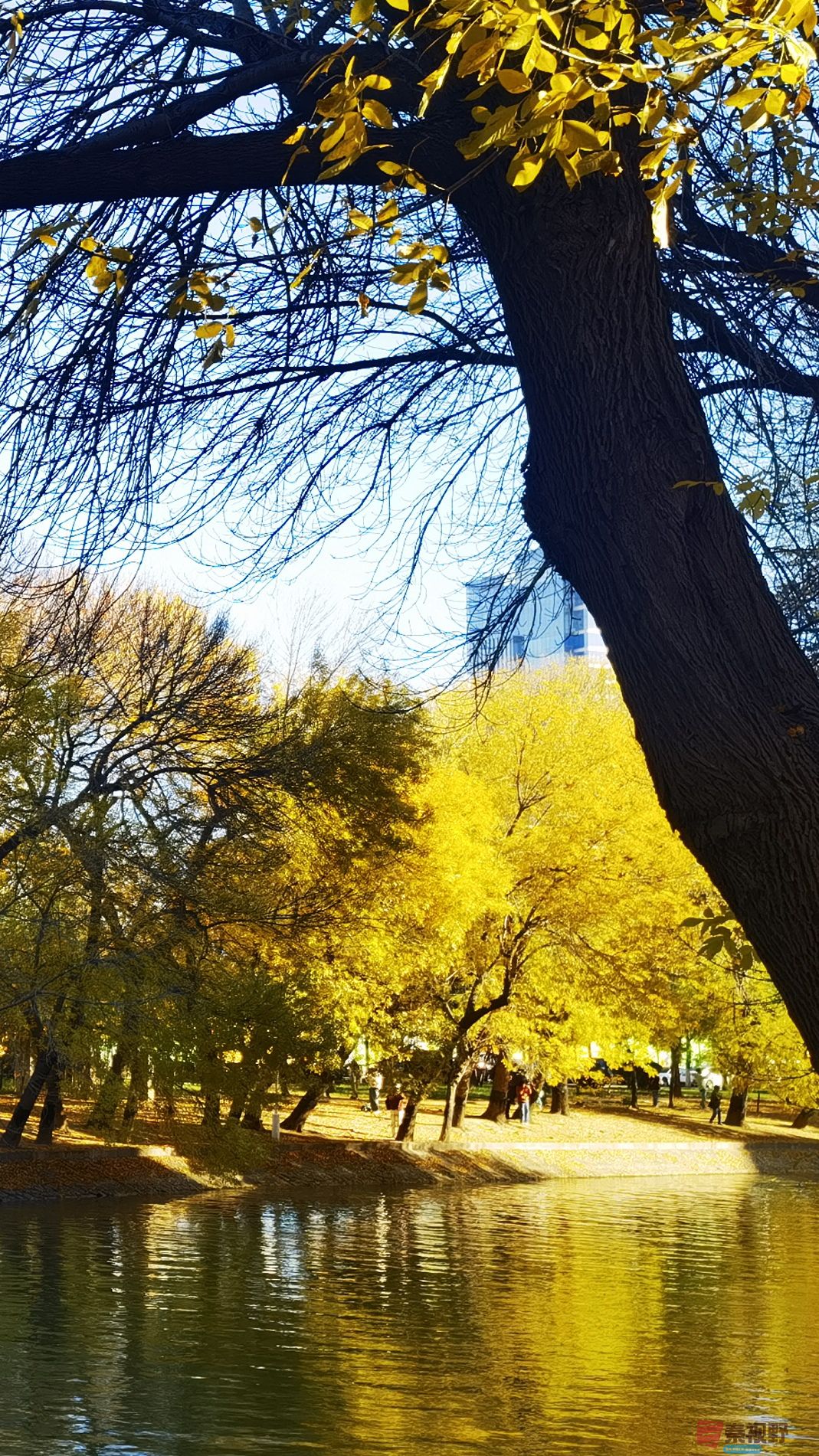 马世国_20251104122912_41_577 (5).jpg