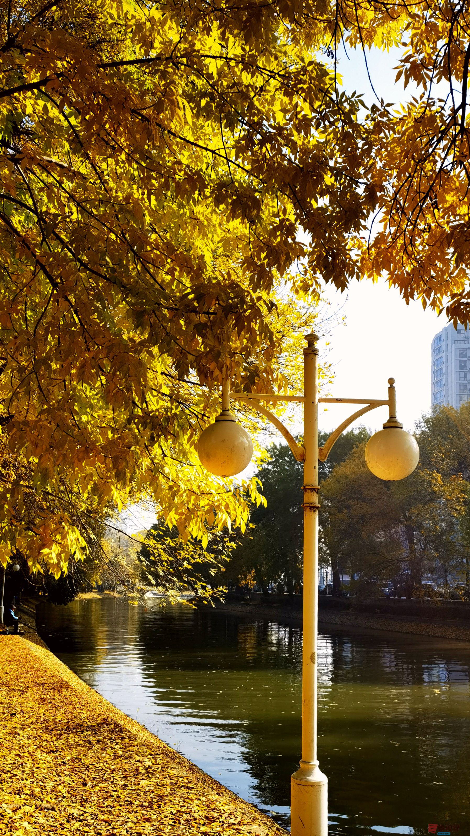 马世国_20251104122912_41_577 (6).jpg