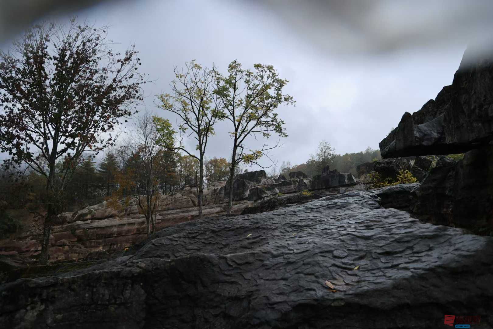 宋宝文_2025-11-05_153103_029 (1).jpg