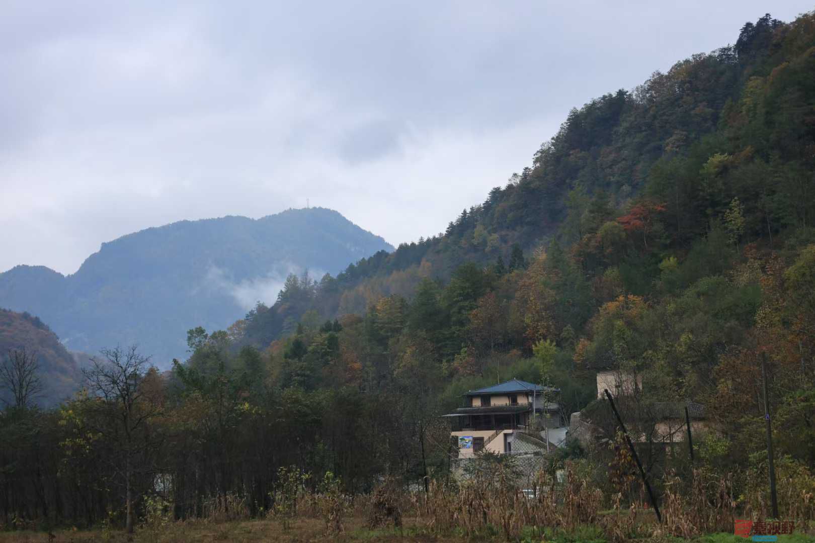 宋宝文_2025-11-05_153103_029 (2).jpg