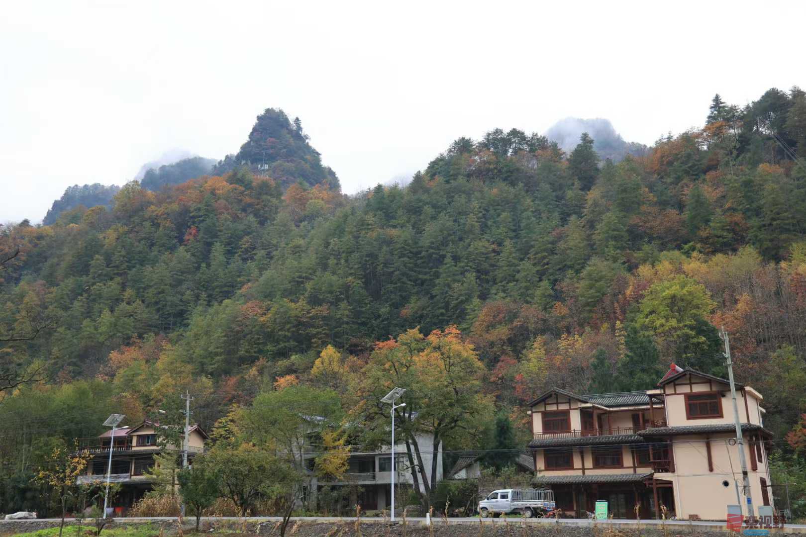 宋宝文_2025-11-05_153103_029 (5).jpg