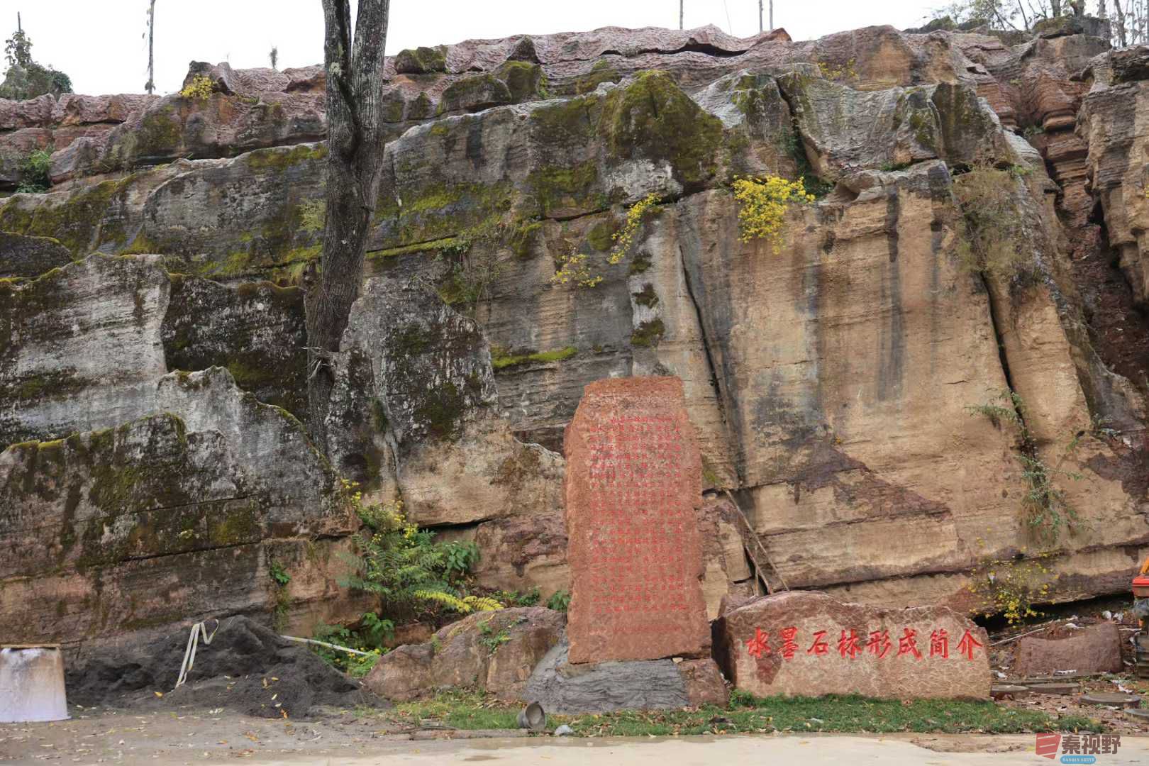 宋宝文_2025-11-05_153103_029 (7).jpg