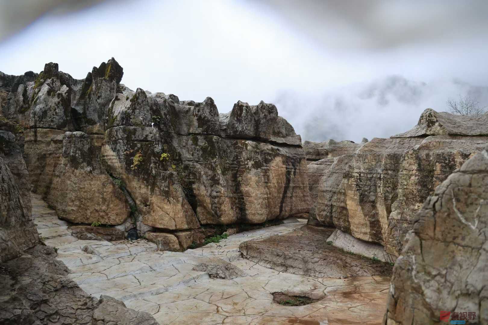 宋宝文_2025-11-05_153103_029 (9).jpg