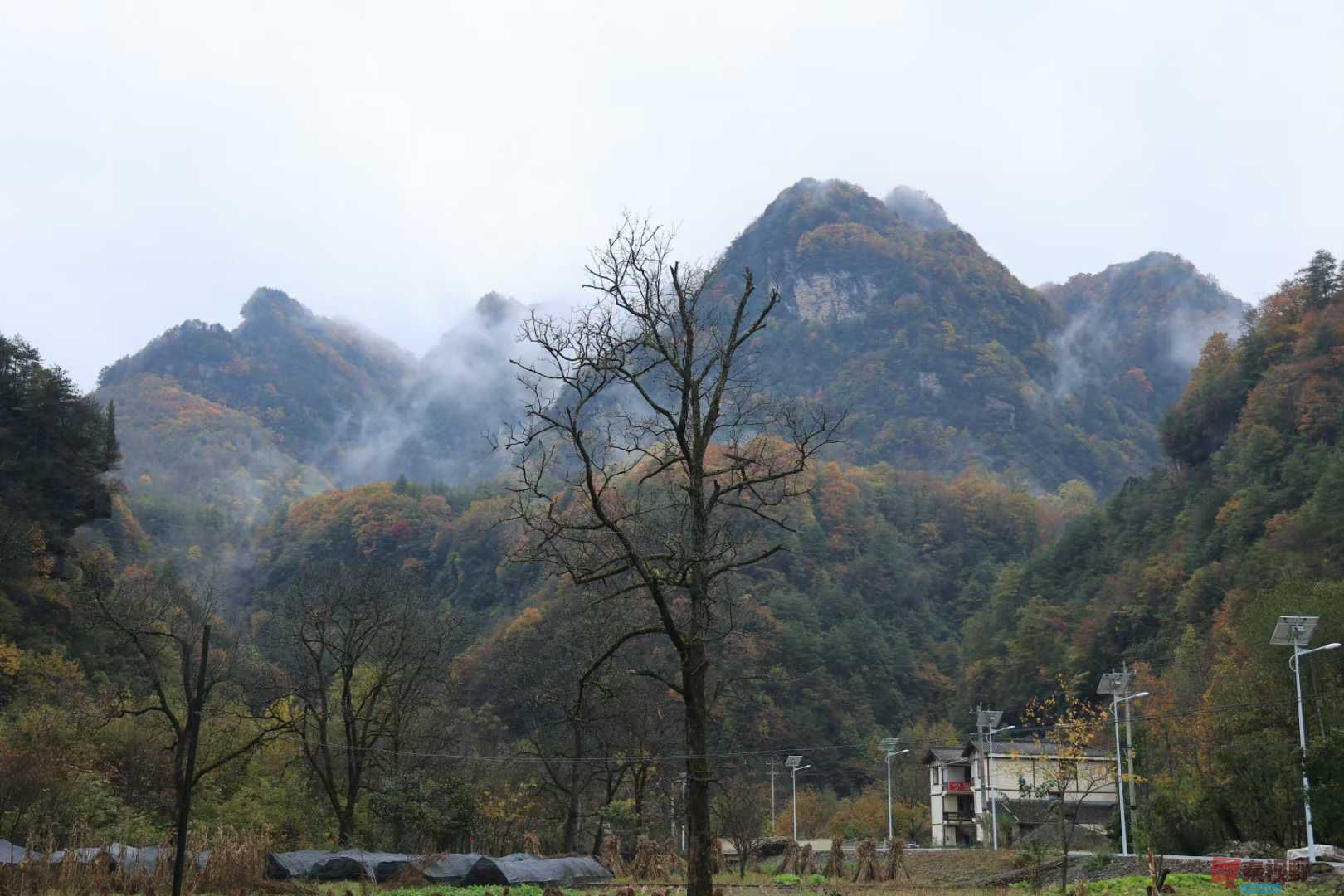 <strong>秋韵【摄影宋宝文】</strong>