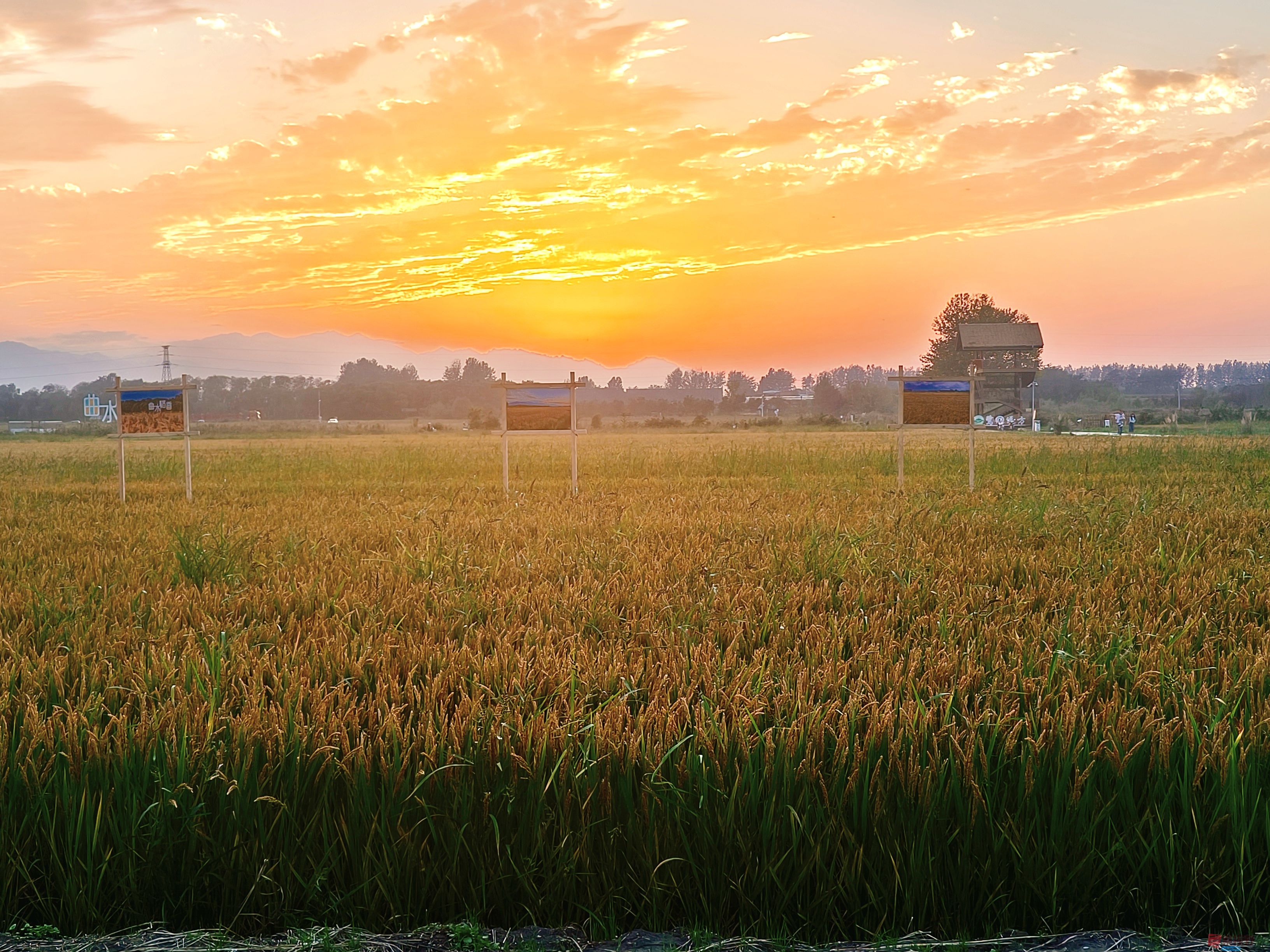 任周民_20251105161746_135_1580 (1).jpg