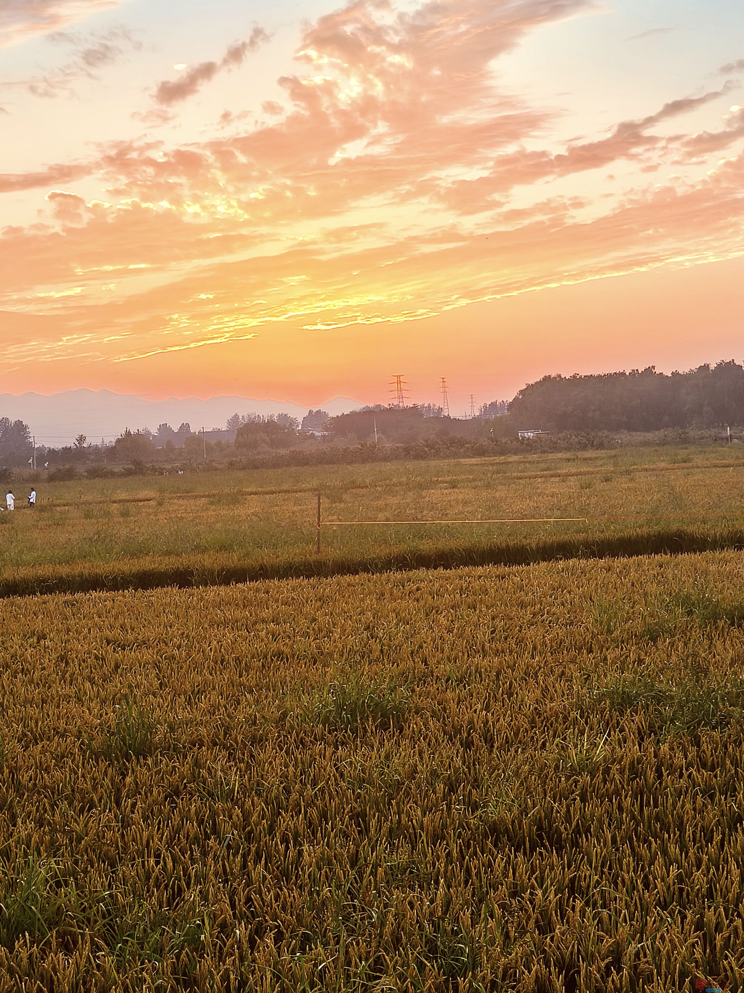 任周民_20251105161746_135_1580 (3).jpg