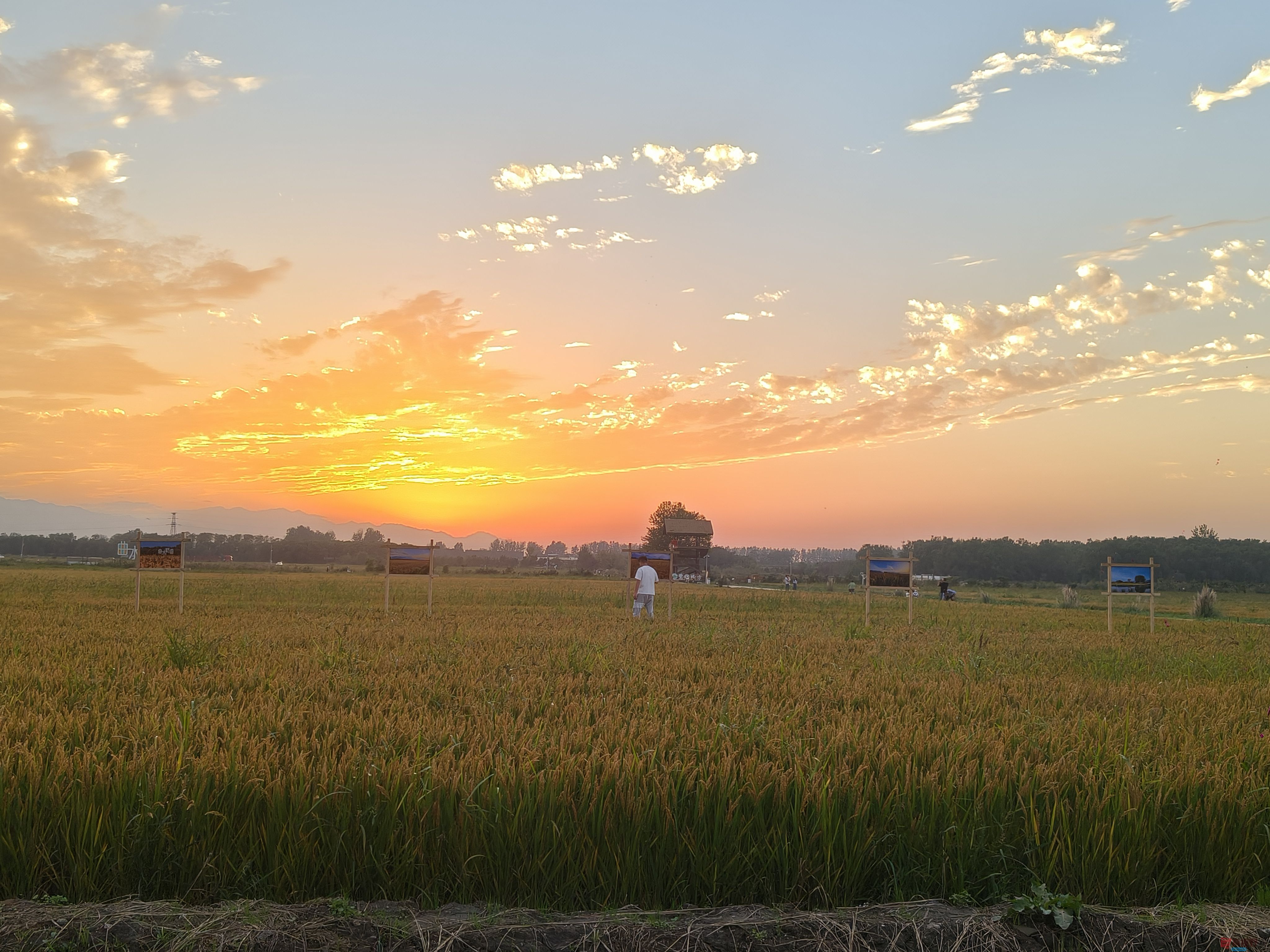 任周民_20251105161746_135_1580 (6).jpg