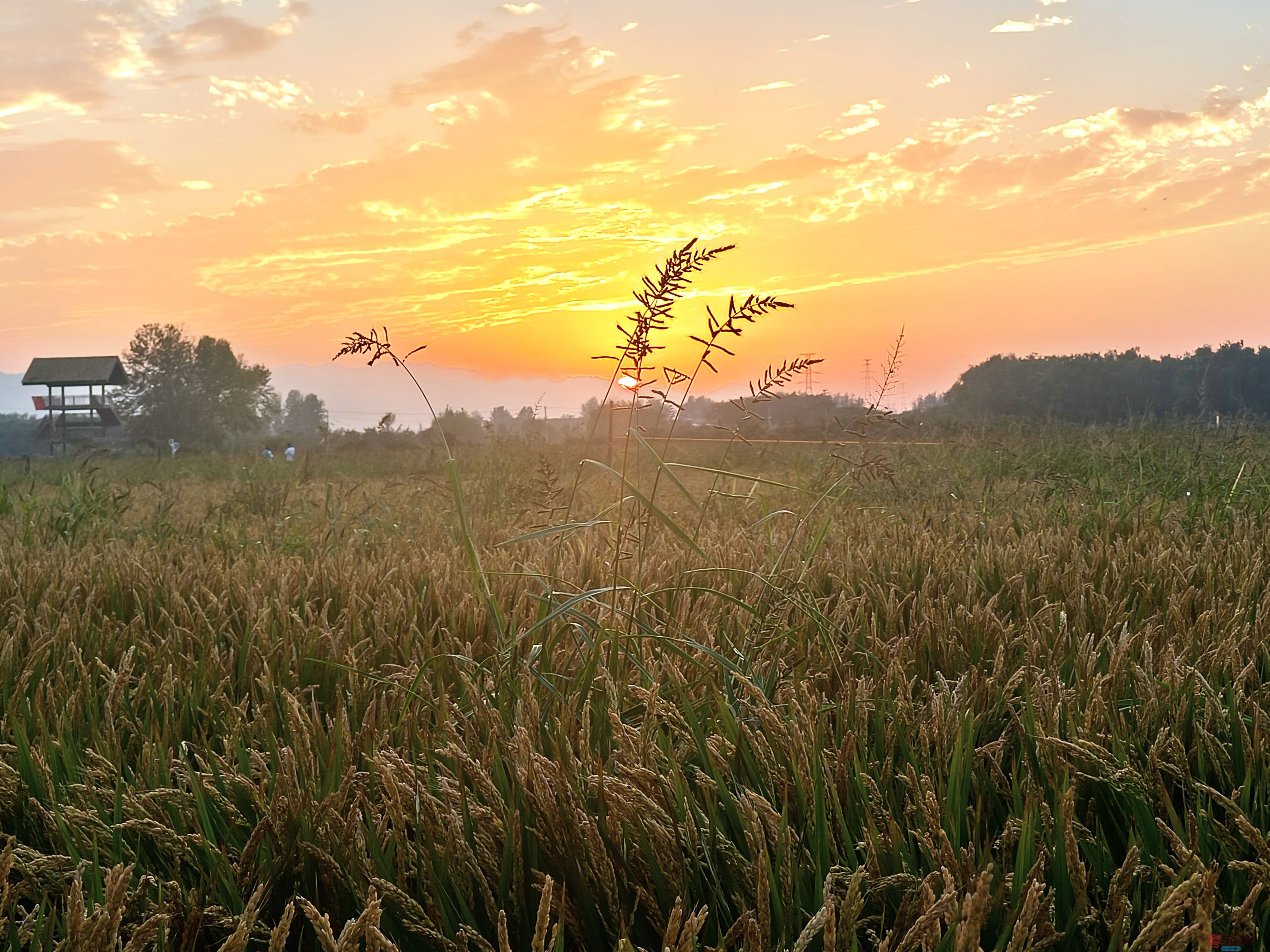 任周民_20251105161746_135_1580 (11).jpg