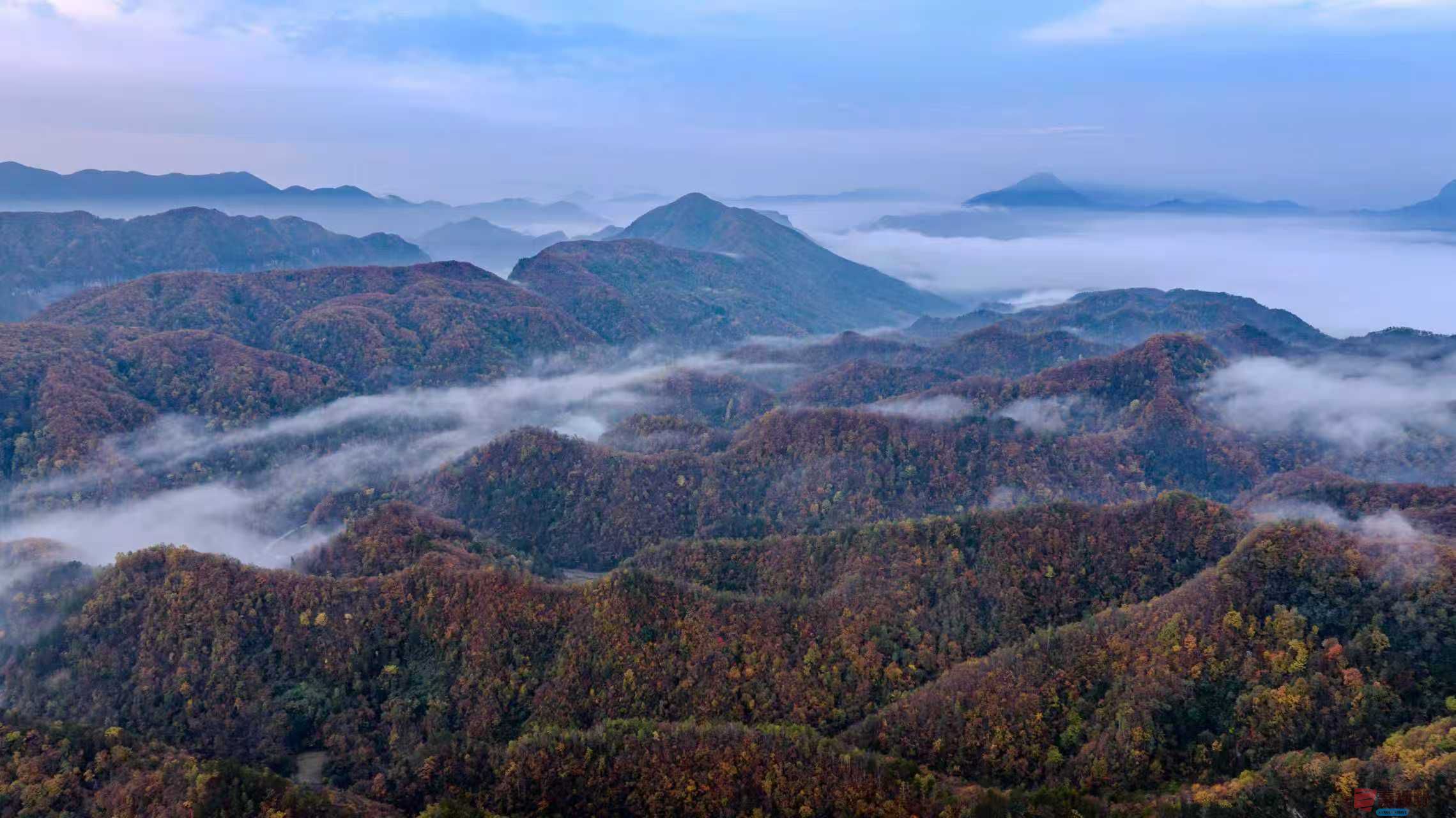 张宝光_20251106085403_2799_463 (1).jpg