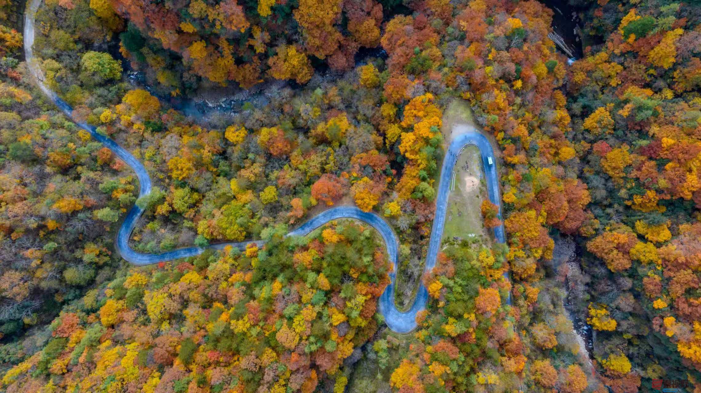 张宝光_20251106085403_2799_463 (2).jpg