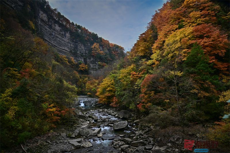 <strong>赏秋【摄影肖宝清】</strong>