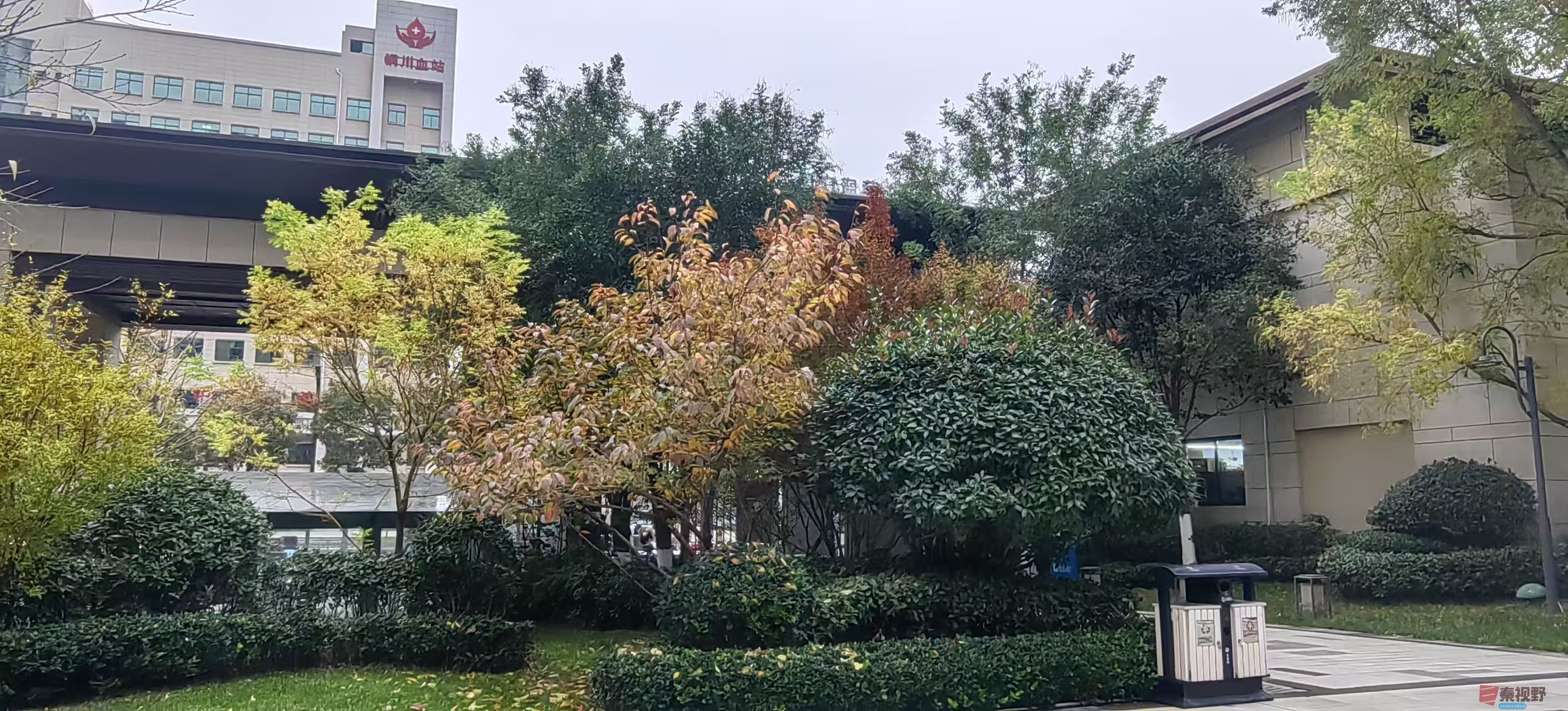 绿海雪塬_20251105214231_2769_463 (9).jpg