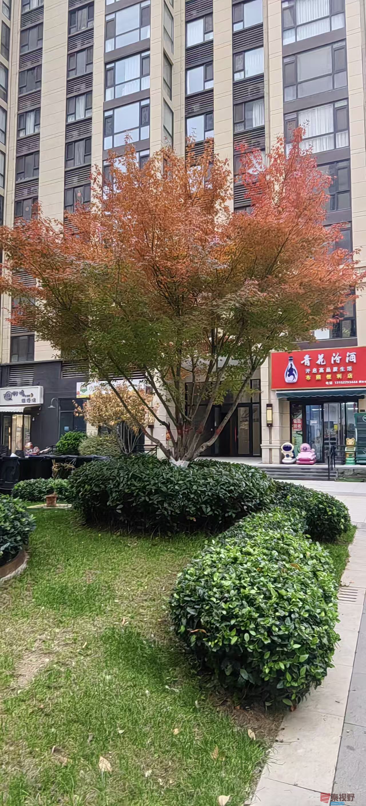 绿海雪塬_20251105214231_2769_463 (10).jpg