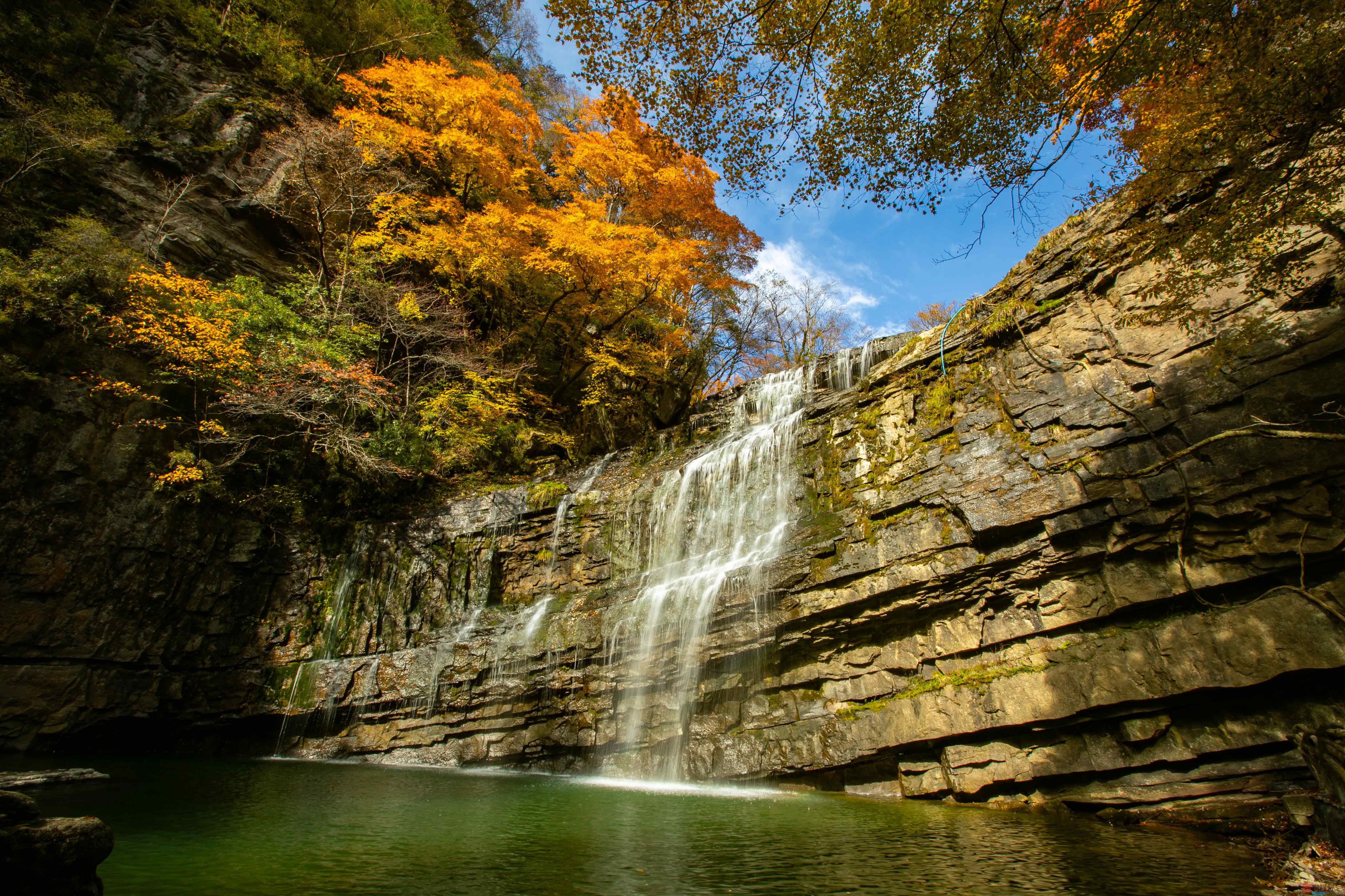 刘胜军_20251106231549_17_634 (6).jpg