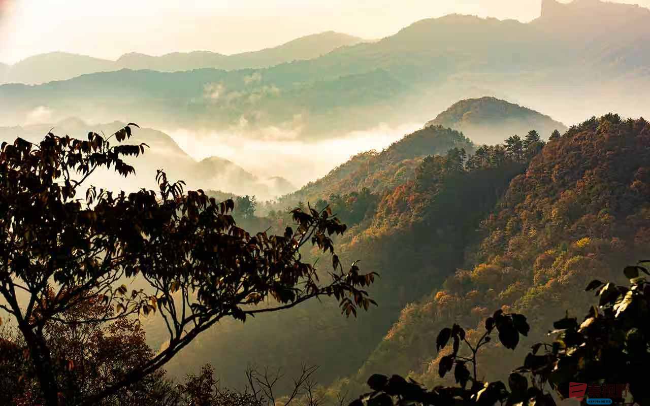 刘胜军_20251106231549_17_634 (4).jpg