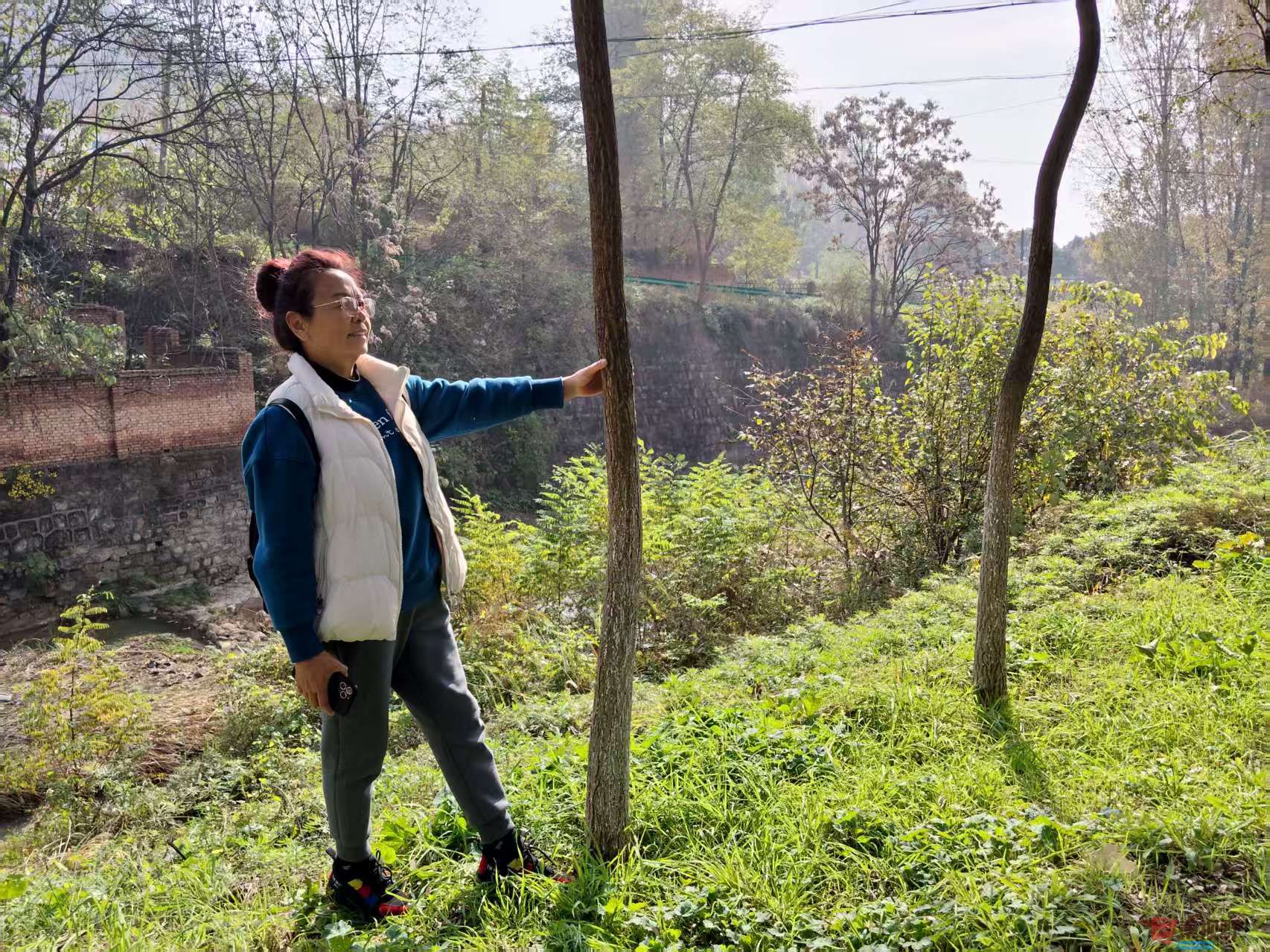 王顺利_20251105225250_2784_463 (2).jpg