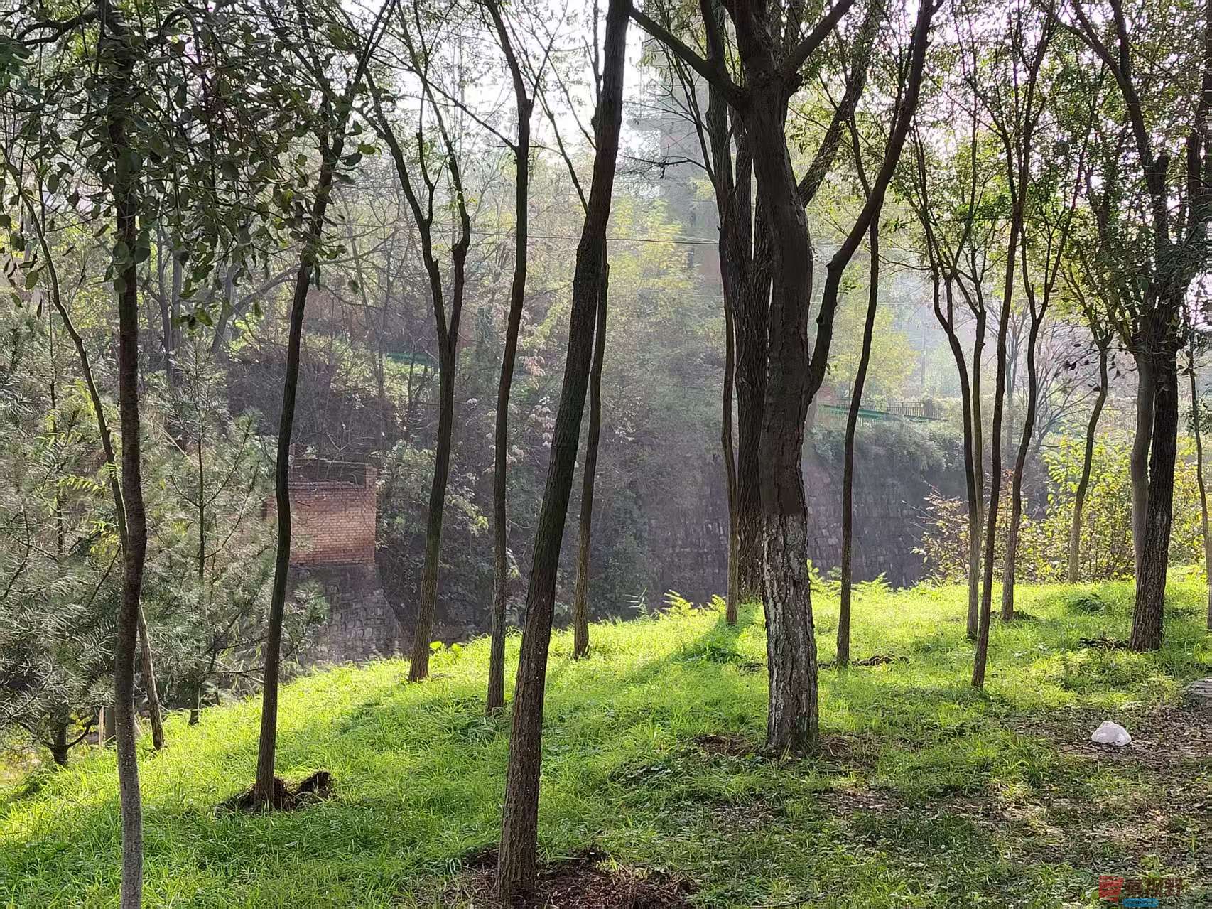 王顺利_20251105225250_2784_463 (1).jpg