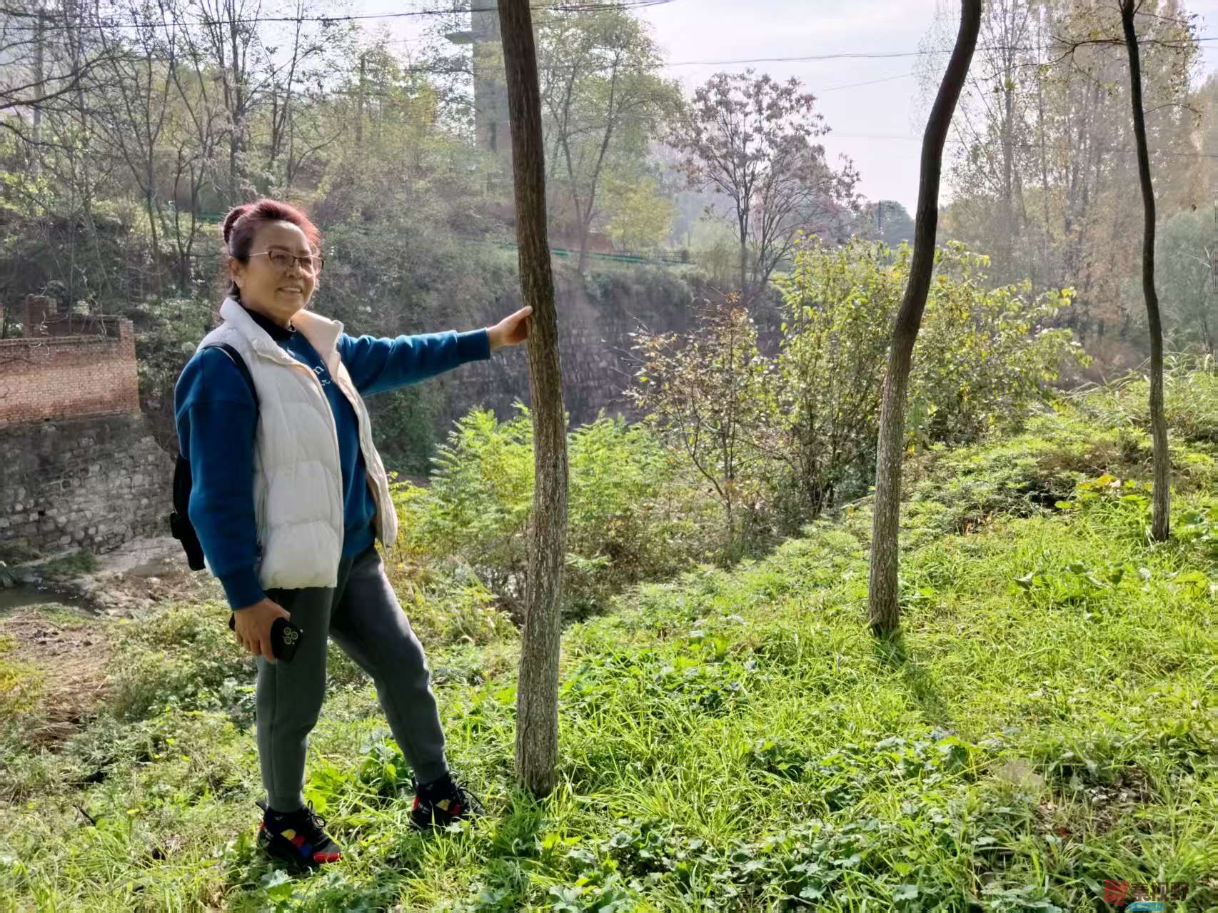 王顺利_20251105225250_2784_463 (6).jpg