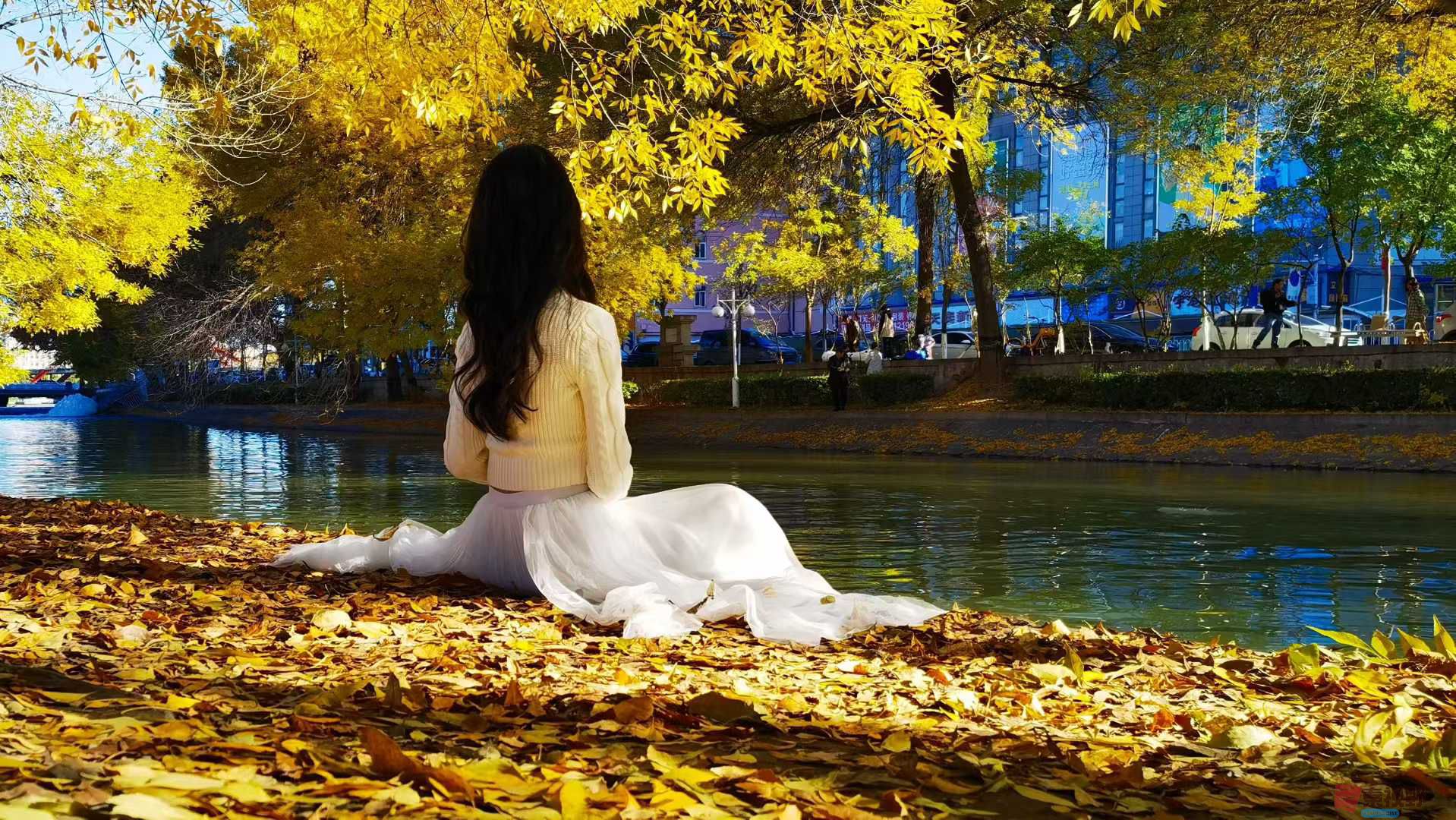 马世国_2025-11-06_172407_487 (1).jpg