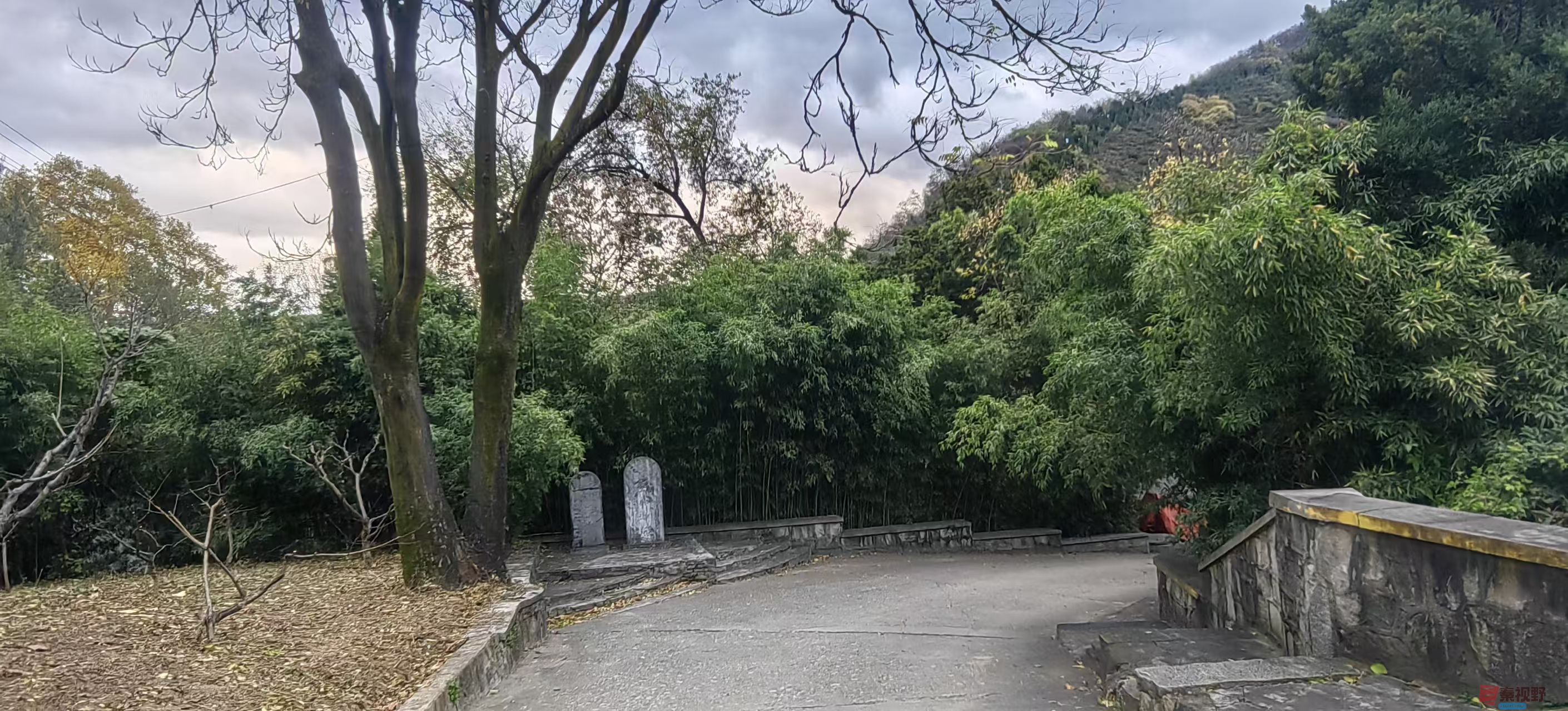 绿海雪塬_20251107105711_2885_463 (9).jpg