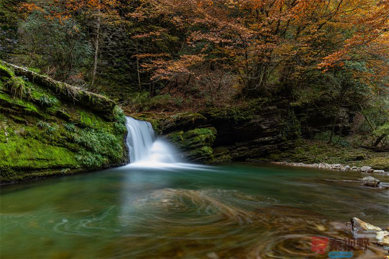 <strong>醉美陕西宁强秋色（1）【摄影张宝光】</strong>