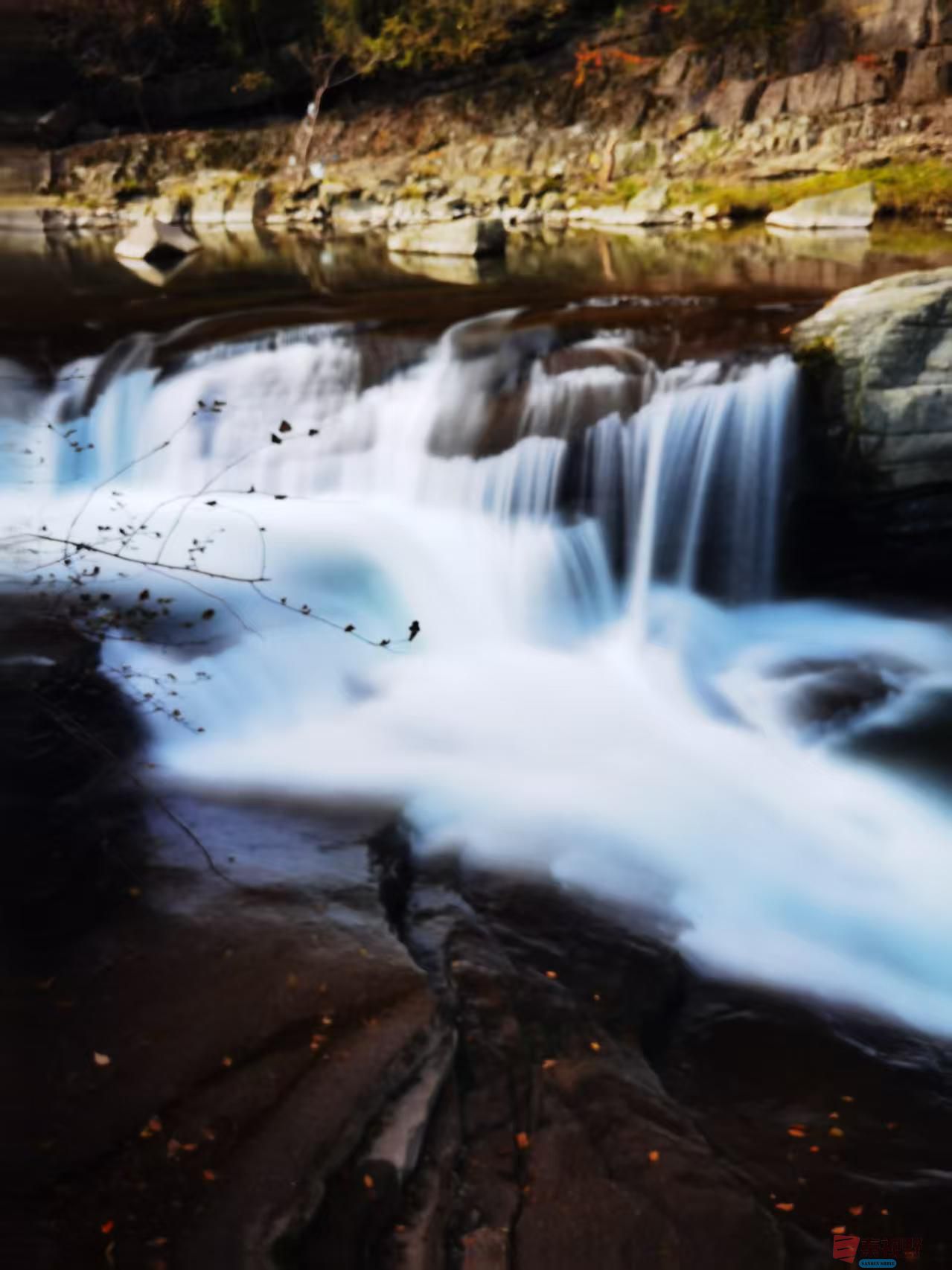 王耀林_20251107135700_2902_463 (1).jpg