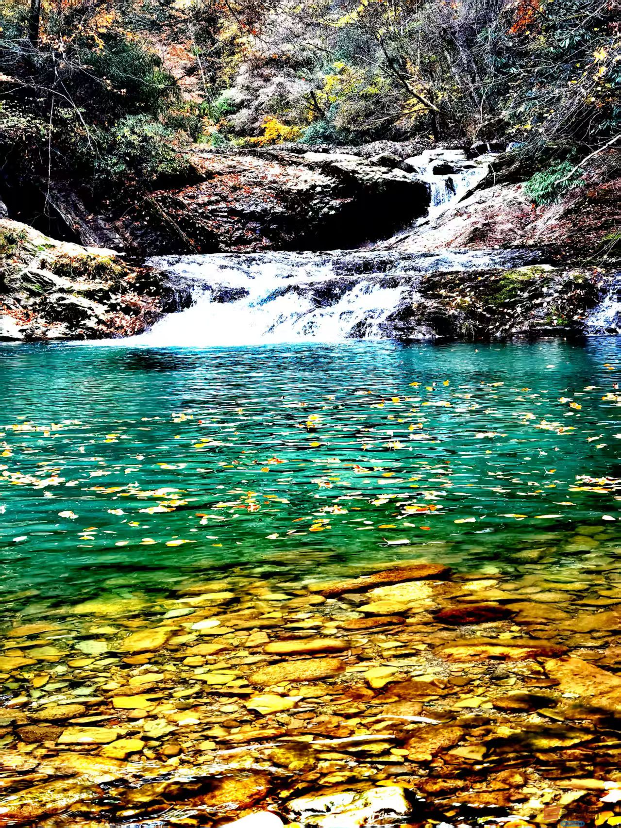 王耀林_20251107135700_2902_463 (2).jpg