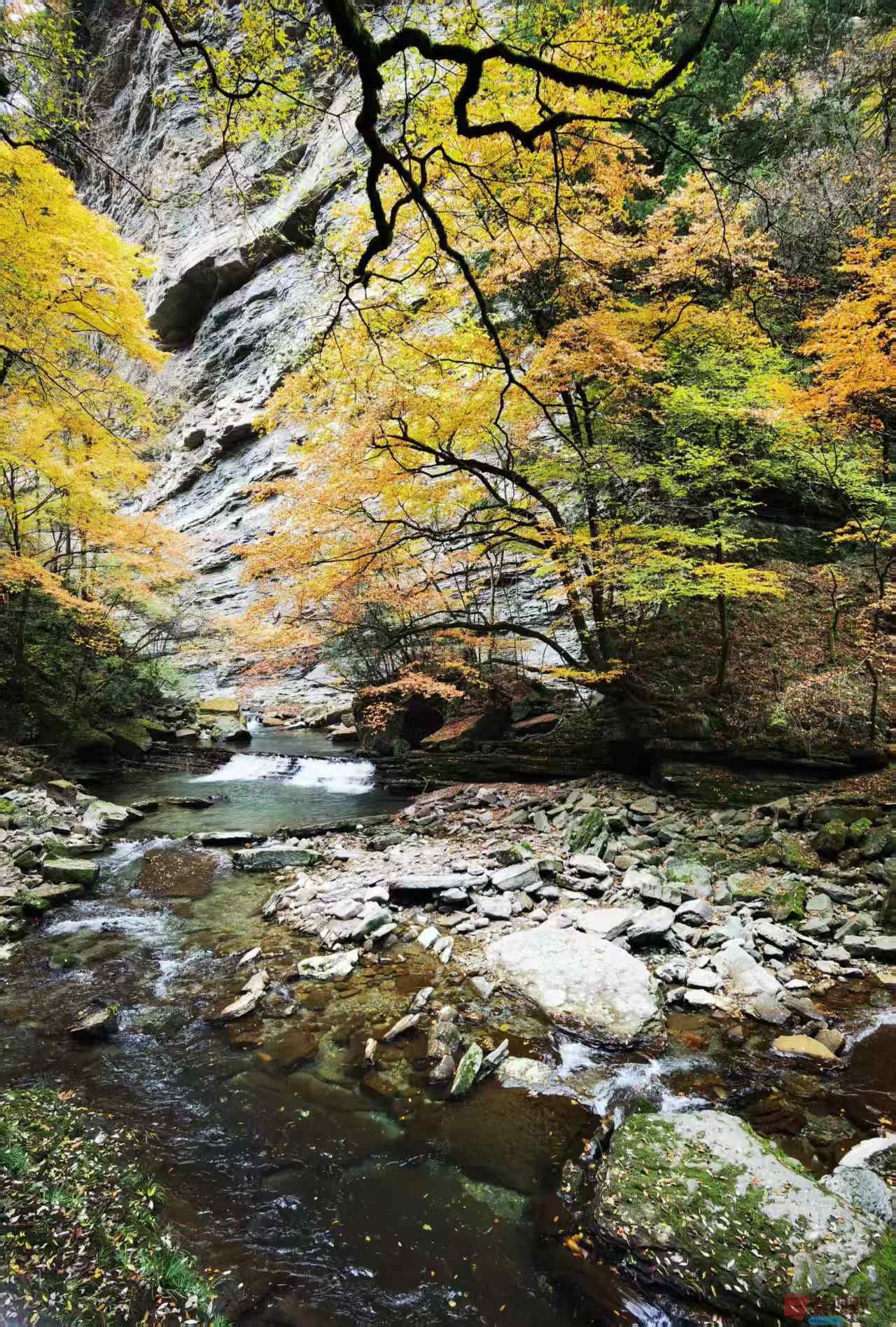 王耀林_20251107135700_2902_463 (3).jpg