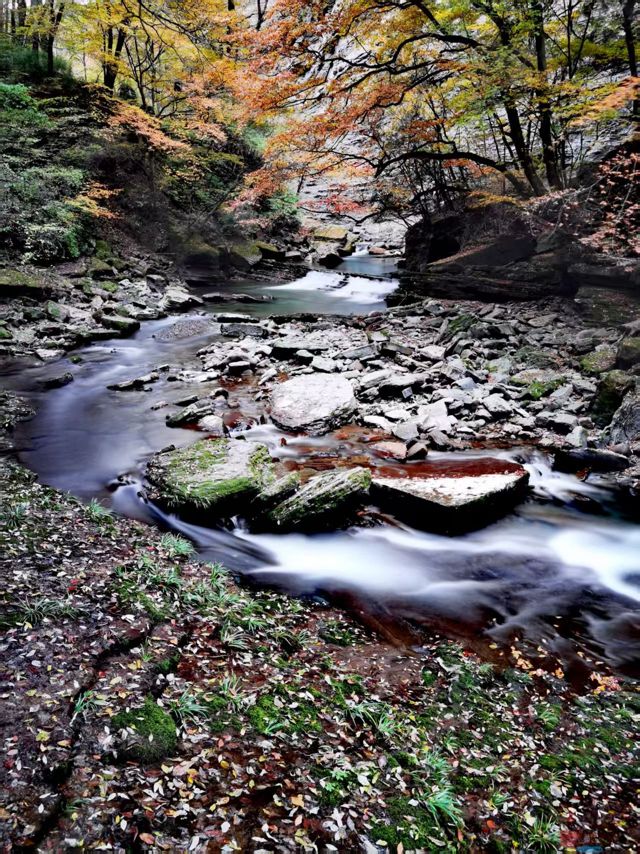秋意盎然【摄影王耀林】