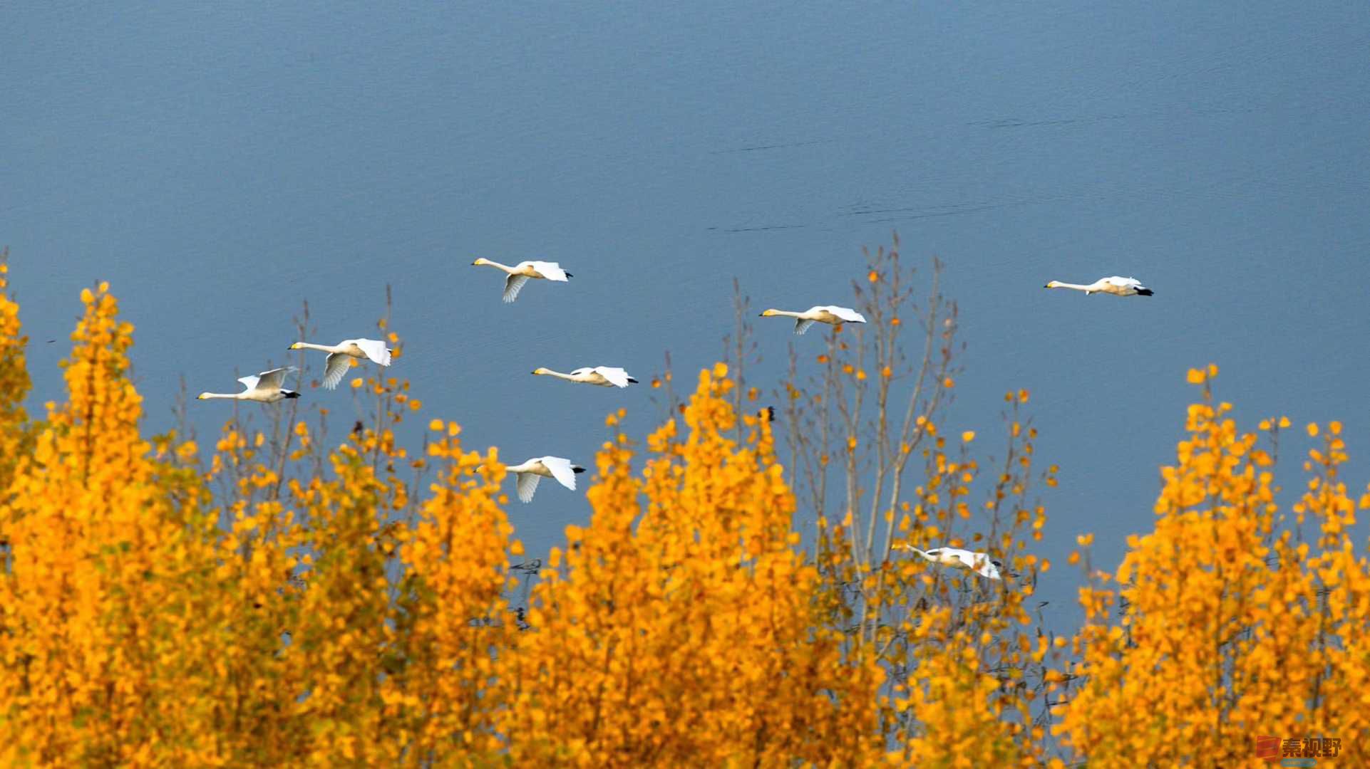 袁小保_2025-11-06_173031_695 (5).jpg