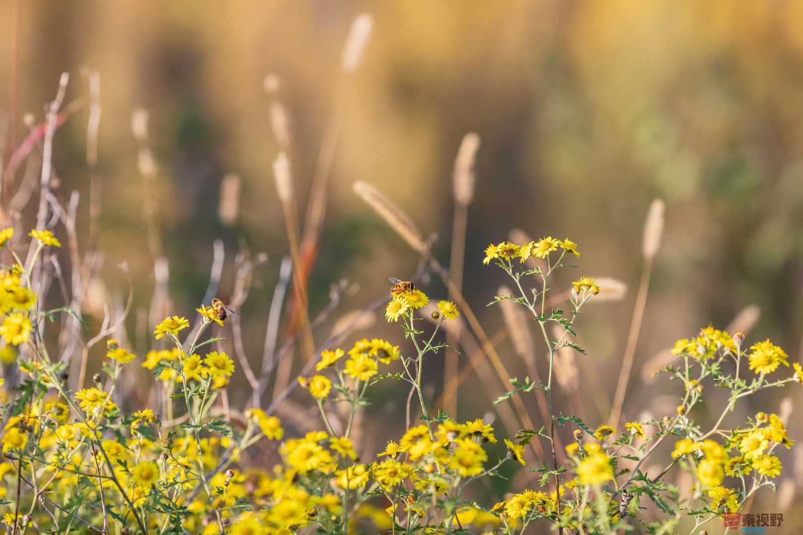 袁小保_2025-11-06_173031_695 (7).jpg