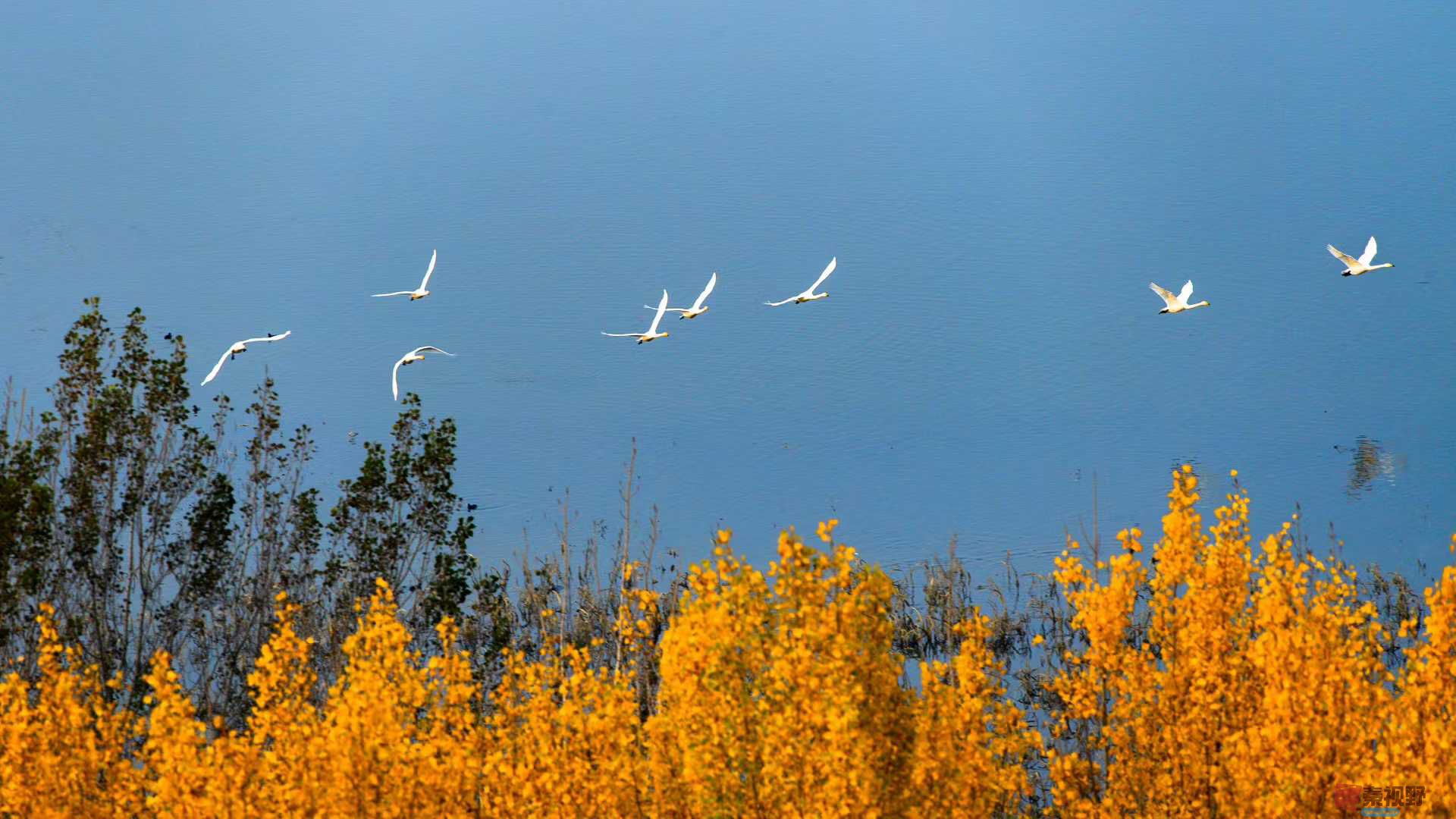 袁小保_2025-11-06_173031_695 (6).jpg