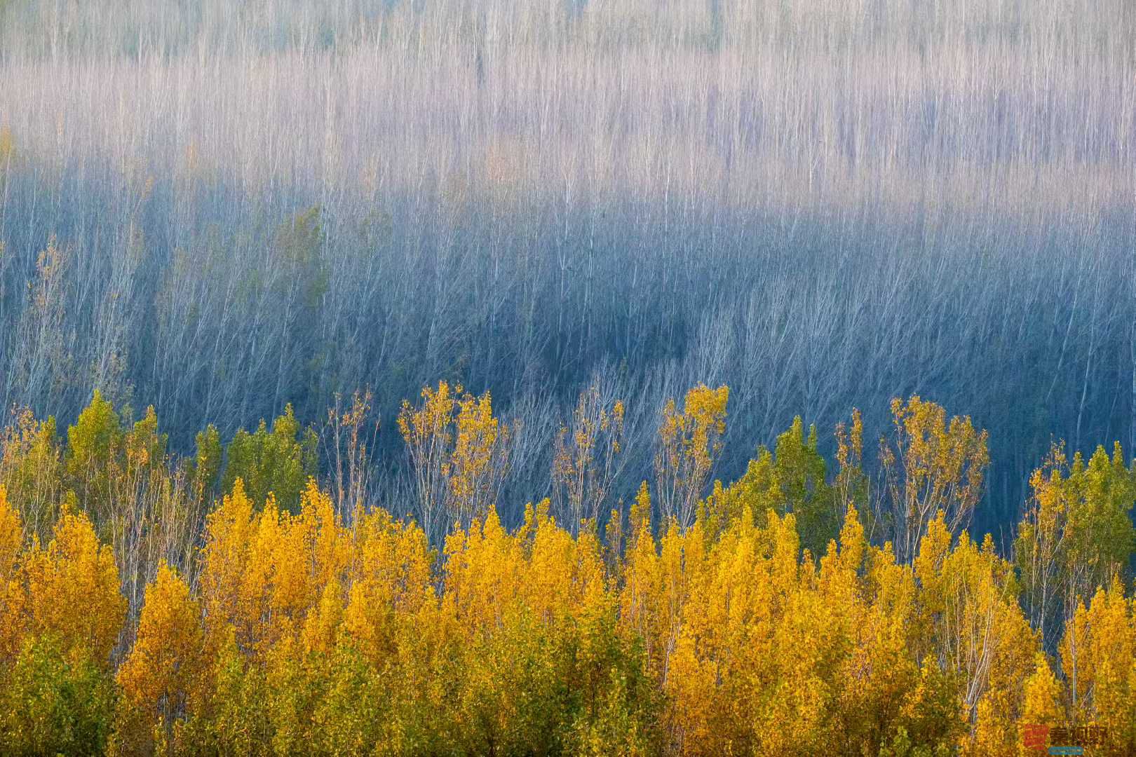 袁小保_2025-11-06_173031_695 (8).jpg