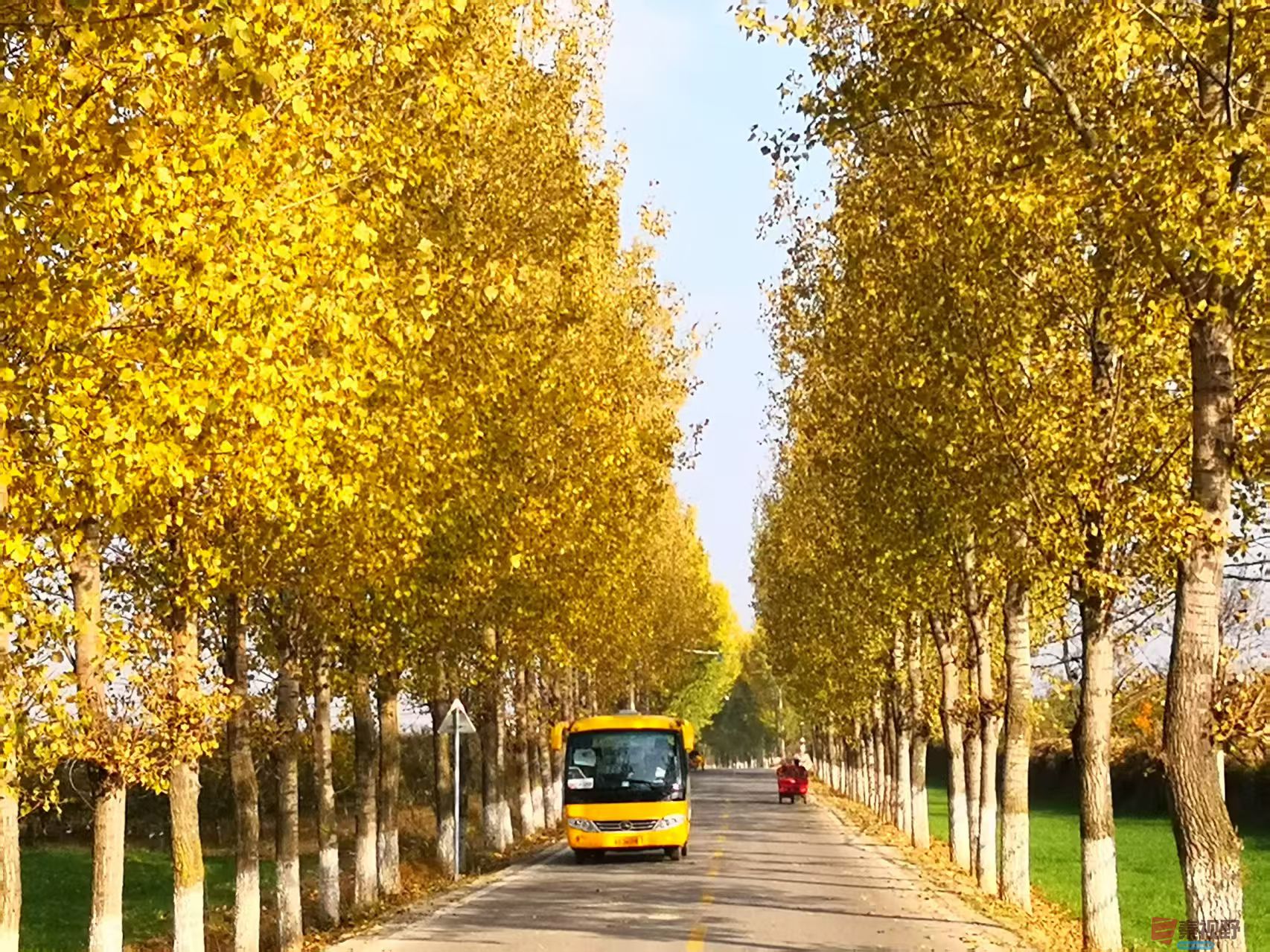 华原秋色【摄影李雪平】