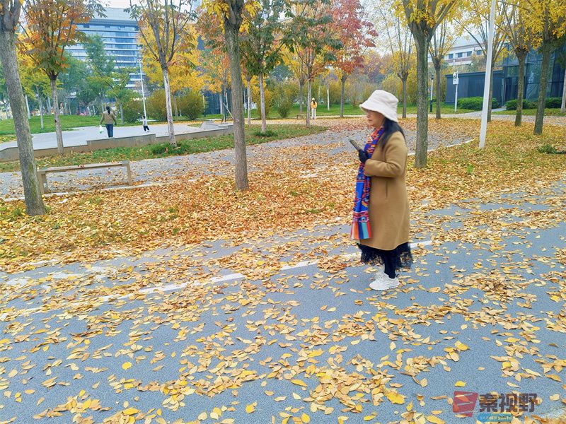 鄠邑秋日即景【摄影任周民】