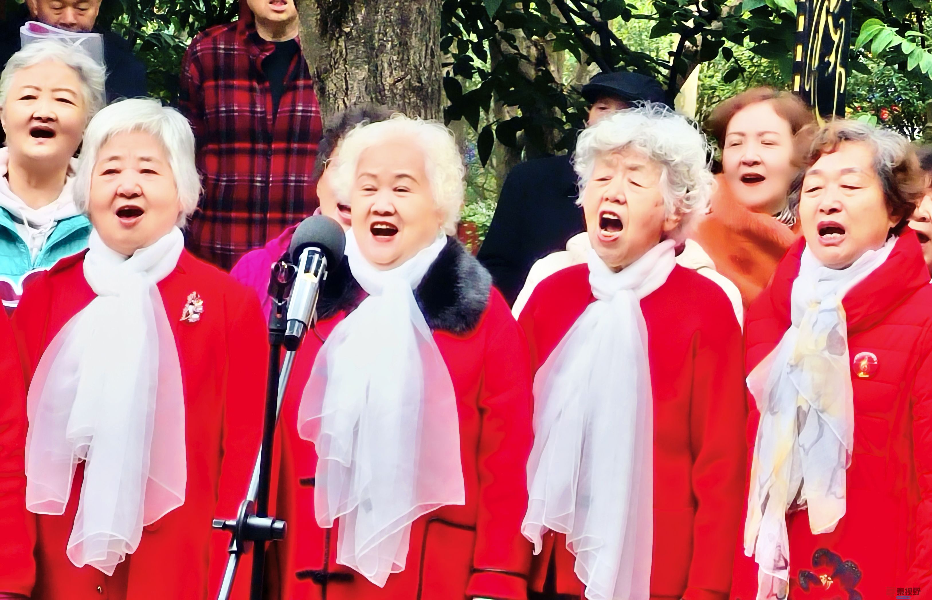 任周民_20251108114951_177_1580 (1).jpg