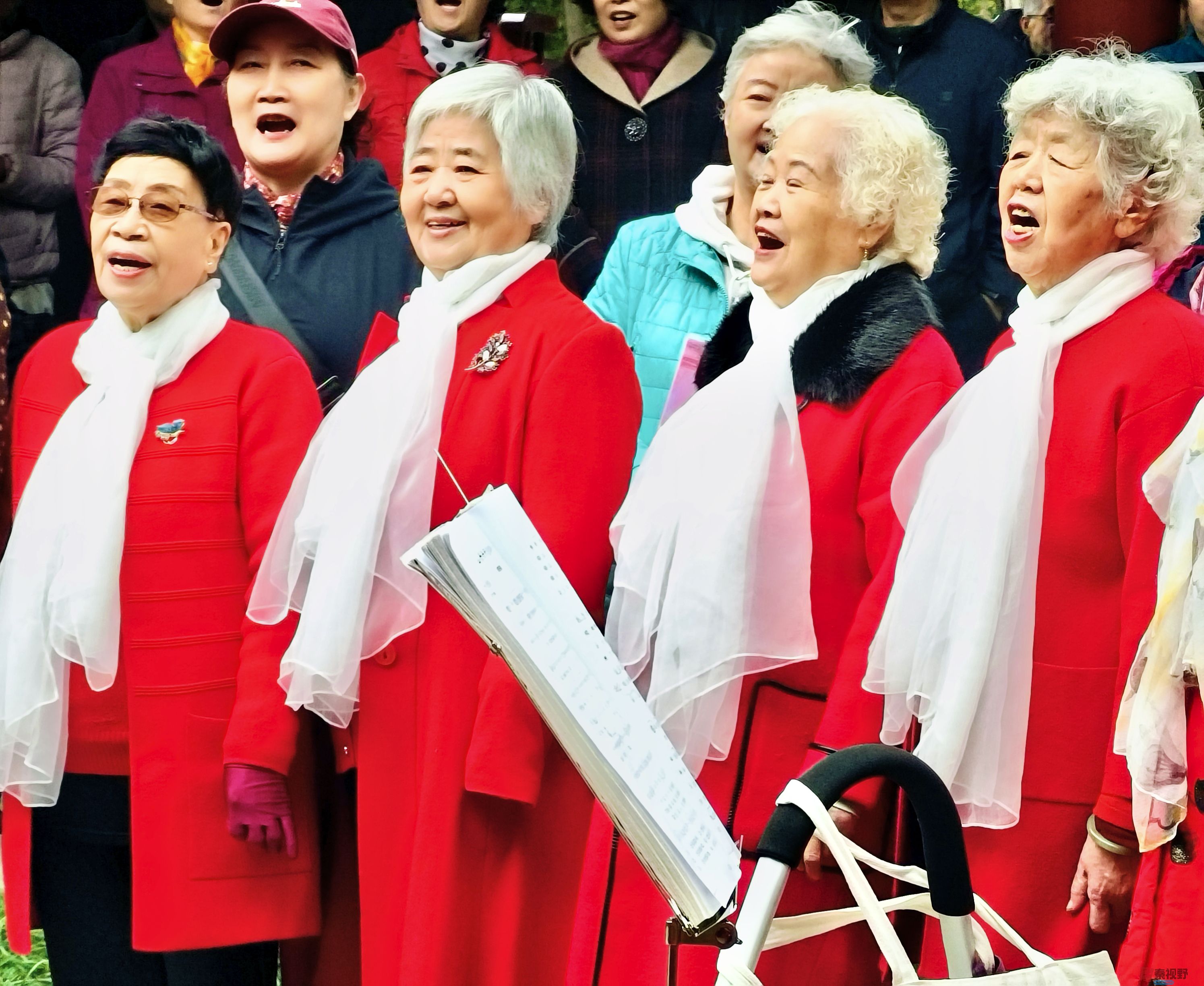 <strong>西安丰庆公园老年红歌合唱团，为游客演唱陕北民歌《山丹丹开花红</strong>