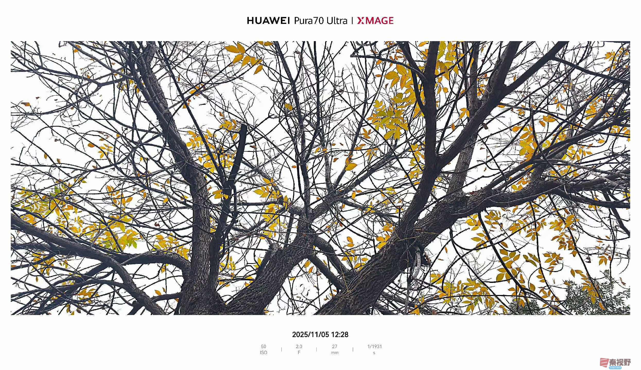 吕谦摄影作品欣赏20251108