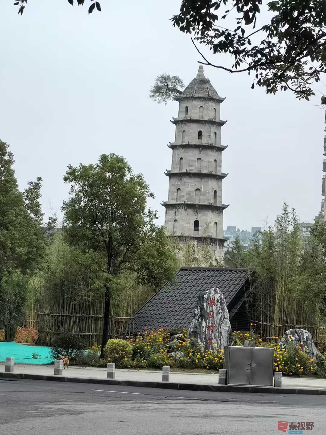 陈耀杰_2025-11-08_143321_232 (1).jpg