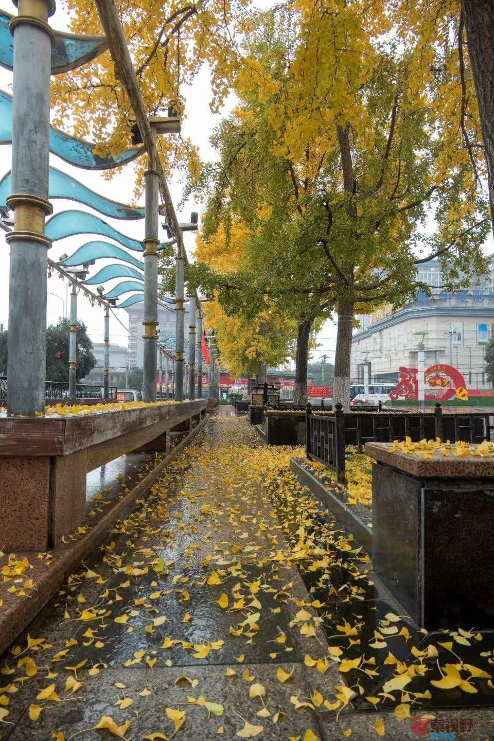 陈耀杰_2025-11-08_143321_232 (3).jpg