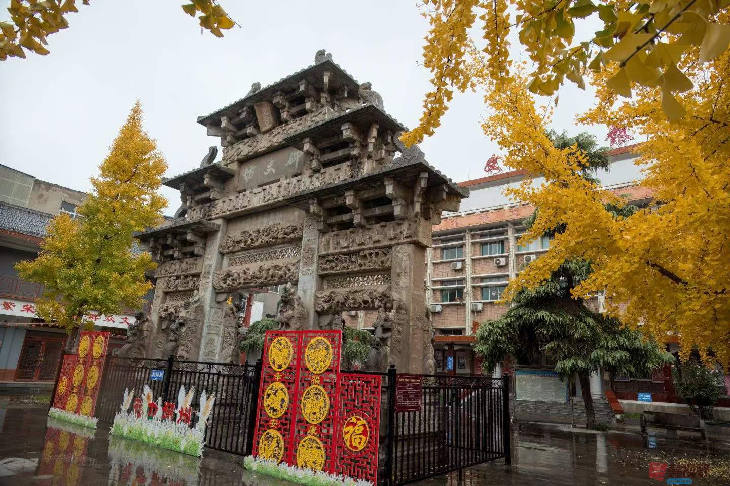 陈耀杰_2025-11-08_143321_232 (9).jpg