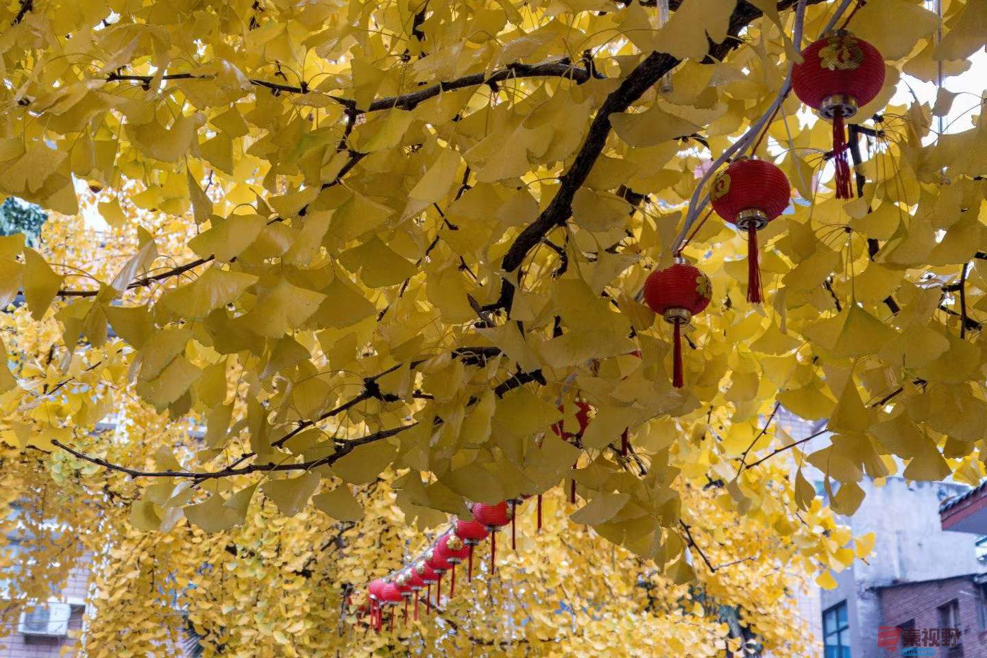 陈耀杰_2025-11-08_143321_232 (7).jpg