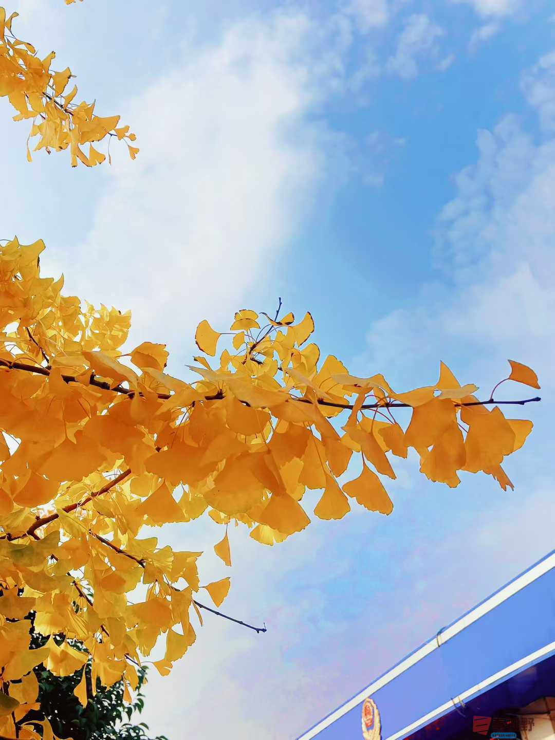 李阳_2025-11-08_143628_051 (3).jpg