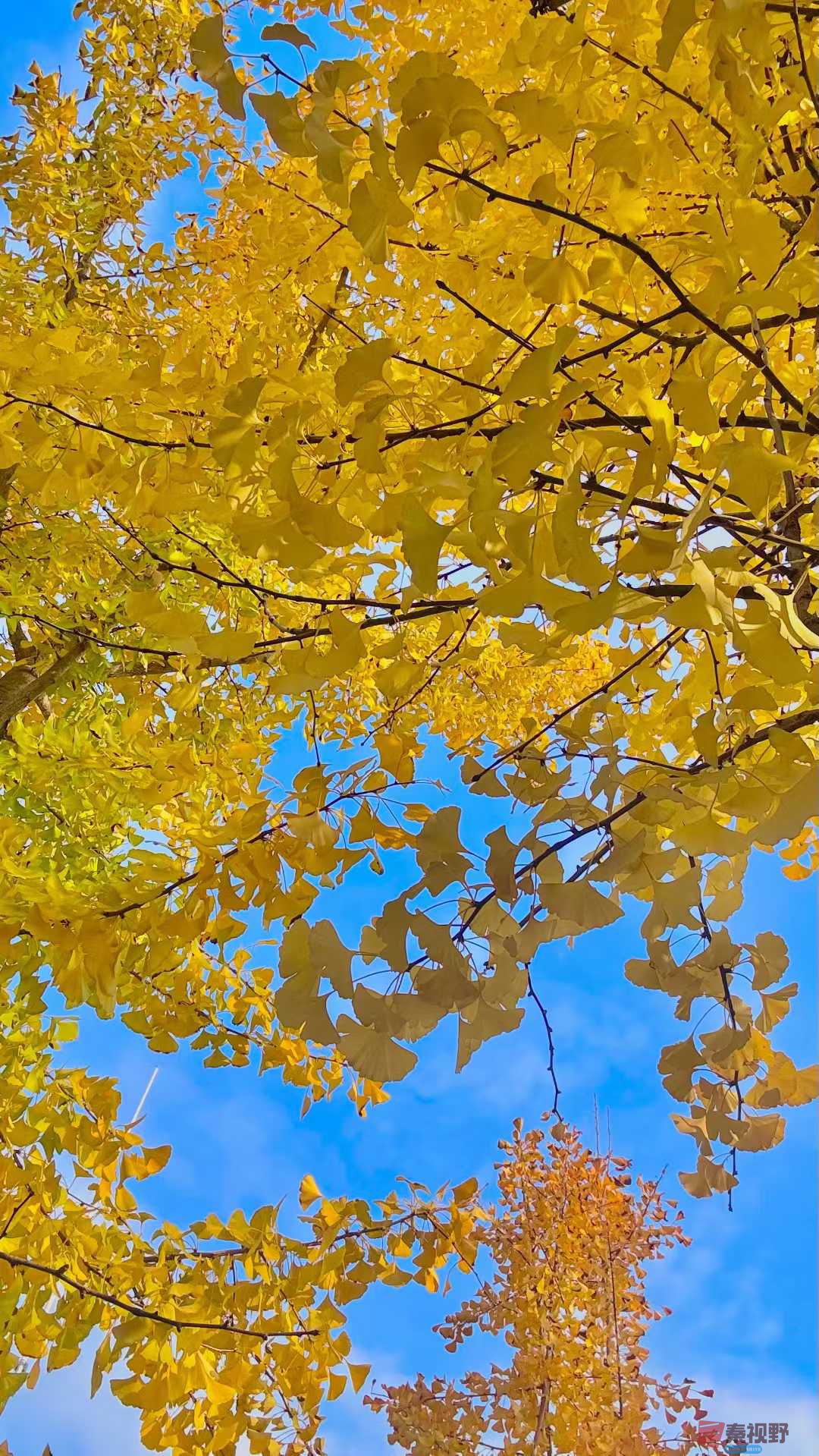 李阳_2025-11-08_143628_051 (6).jpg