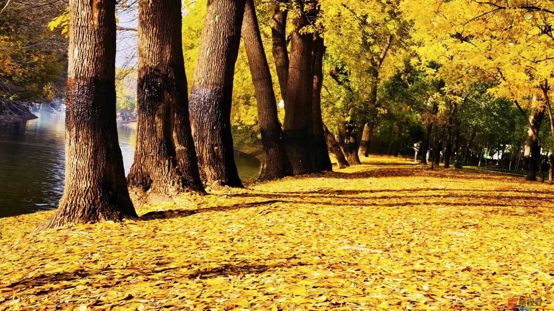 马世国_2025-11-08_143959_112 (2).jpg