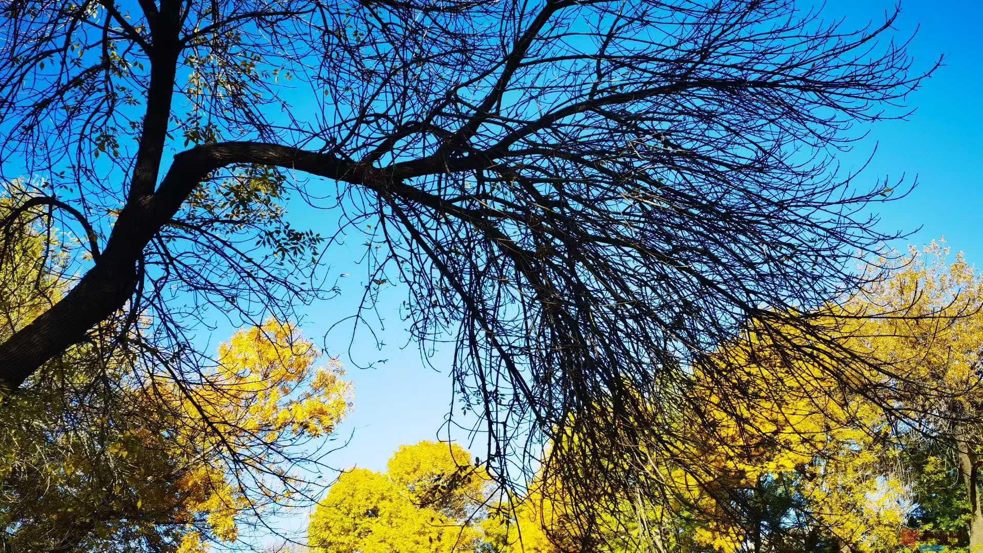 马世国_2025-11-08_143959_112 (3).jpg