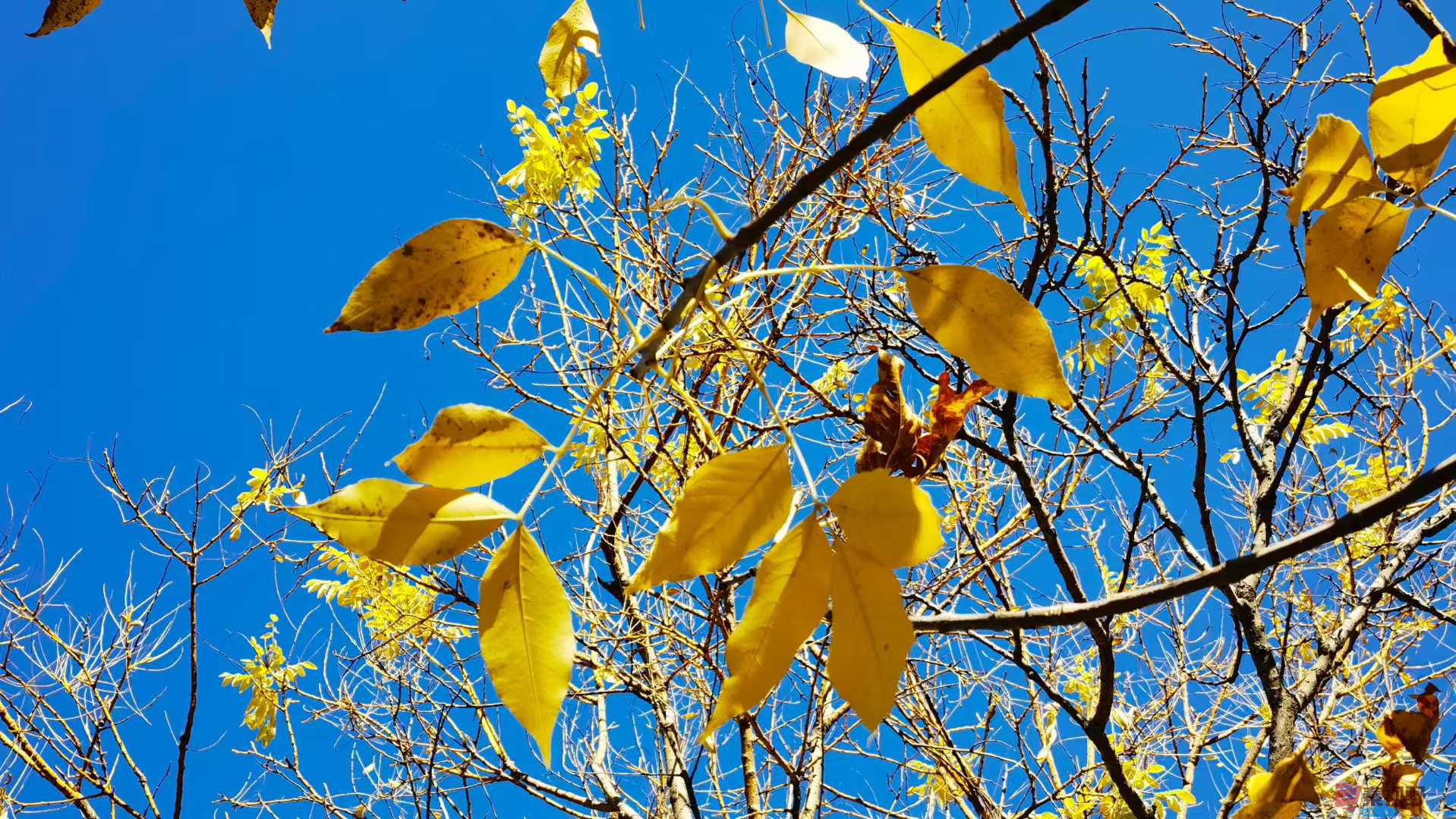 马世国_2025-11-08_143959_112 (9).jpg