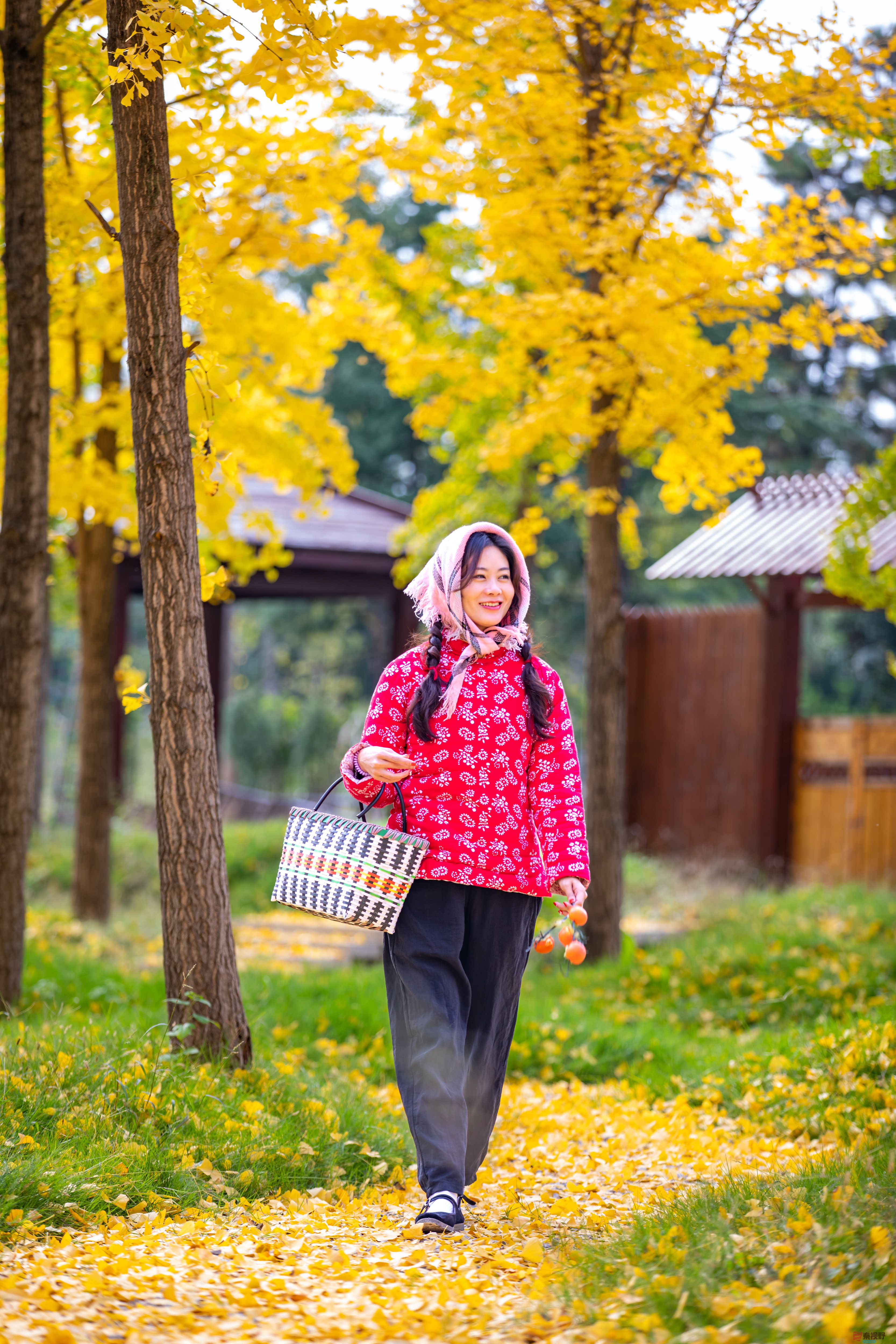 张宝光_20251108190307_2980_463 (6).jpg